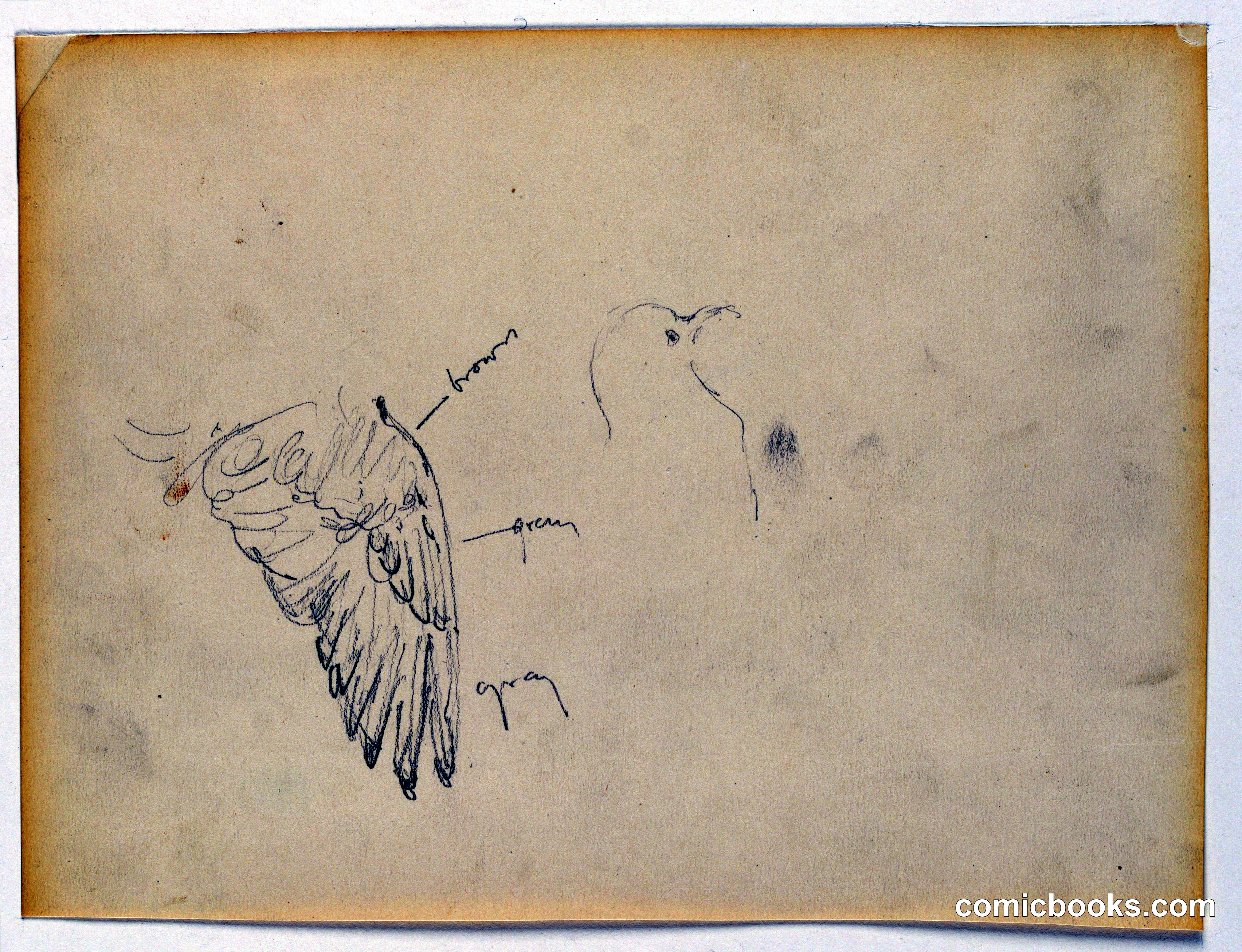 Study for 'The Beneficence of the Law'