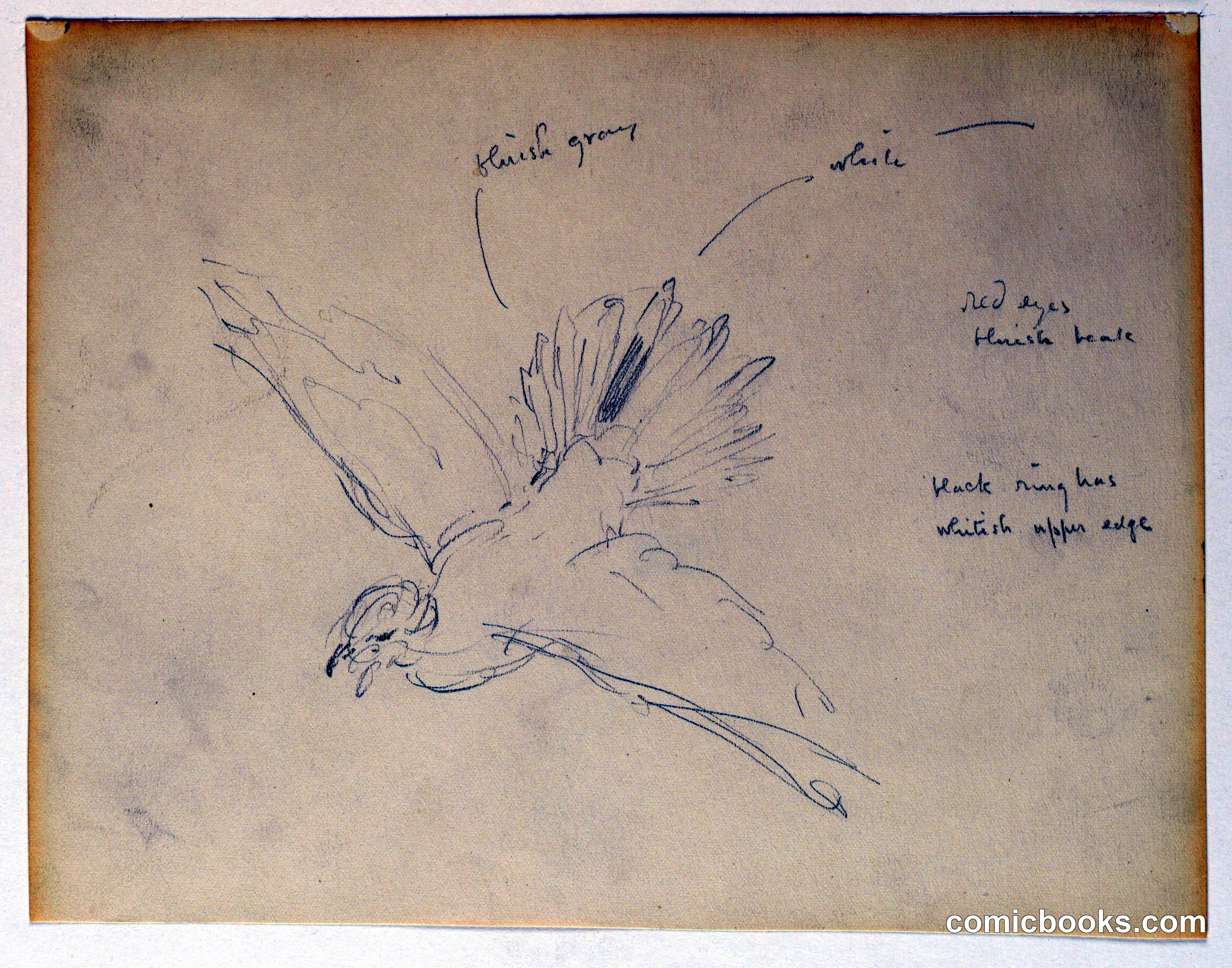 Study for 'The Beneficence of the Law,' Essex County Courthouse, Newark, NJ