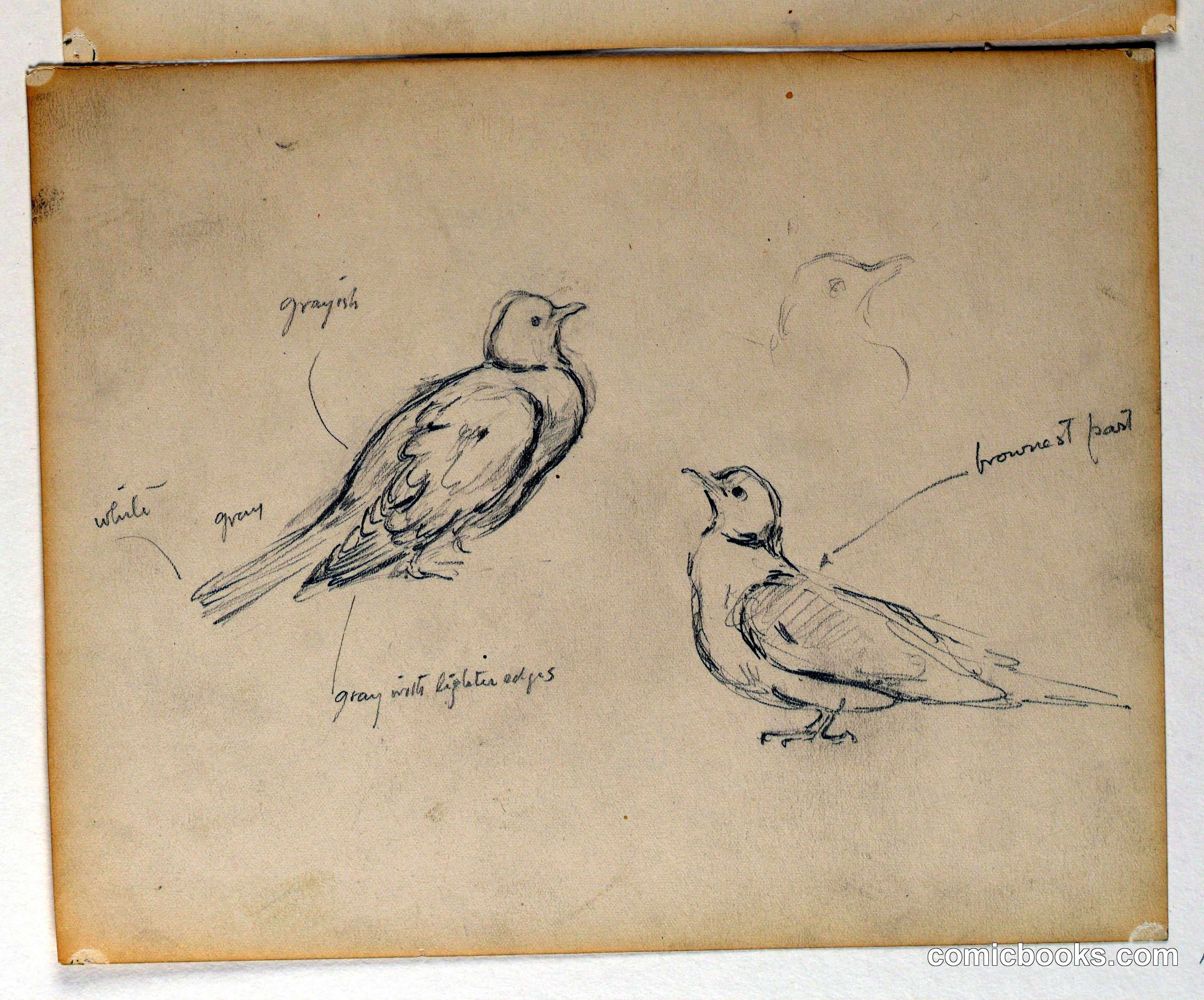 Study for "The Beneficence of the Law," Essex County Courthouse