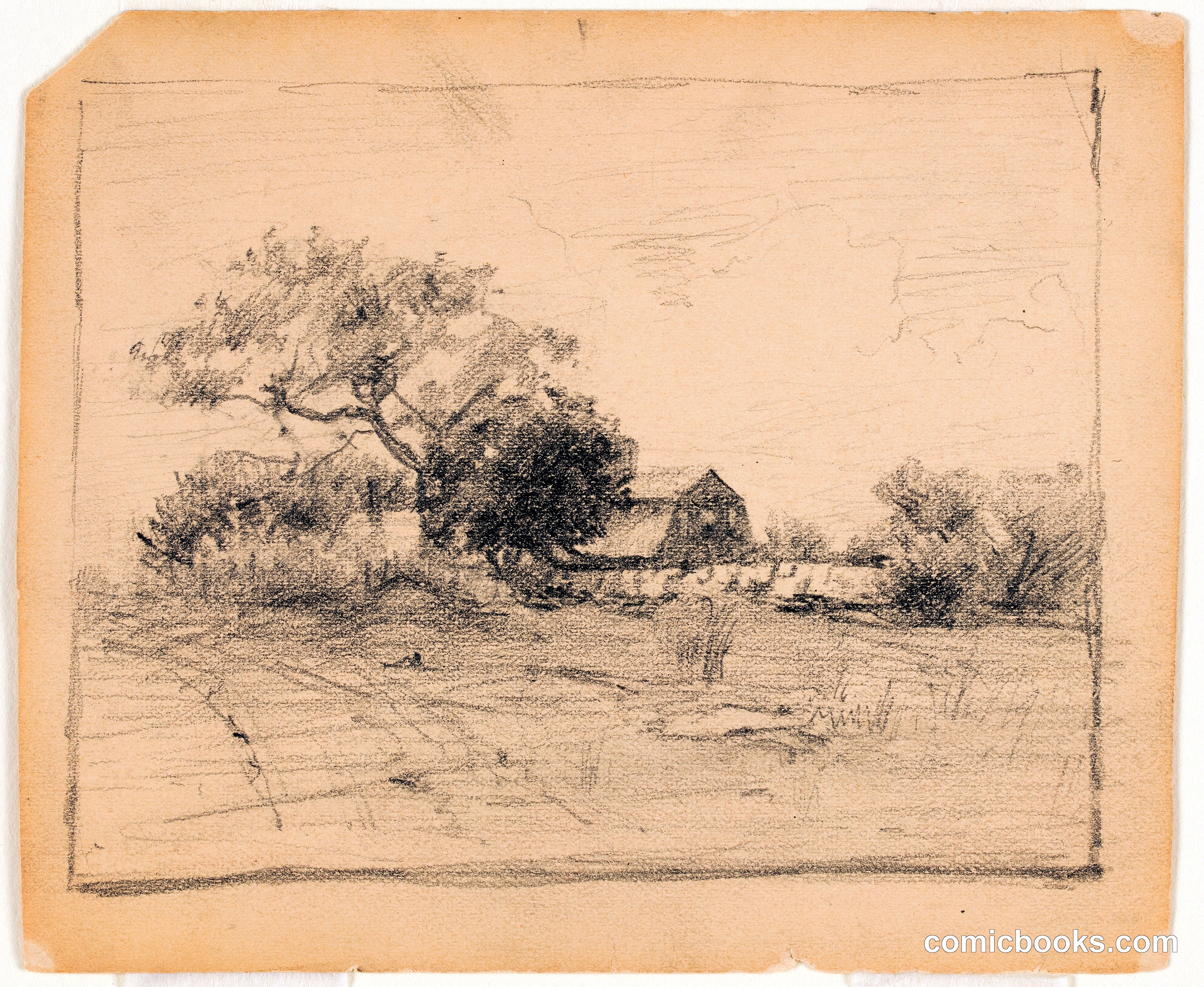 Landscape Study