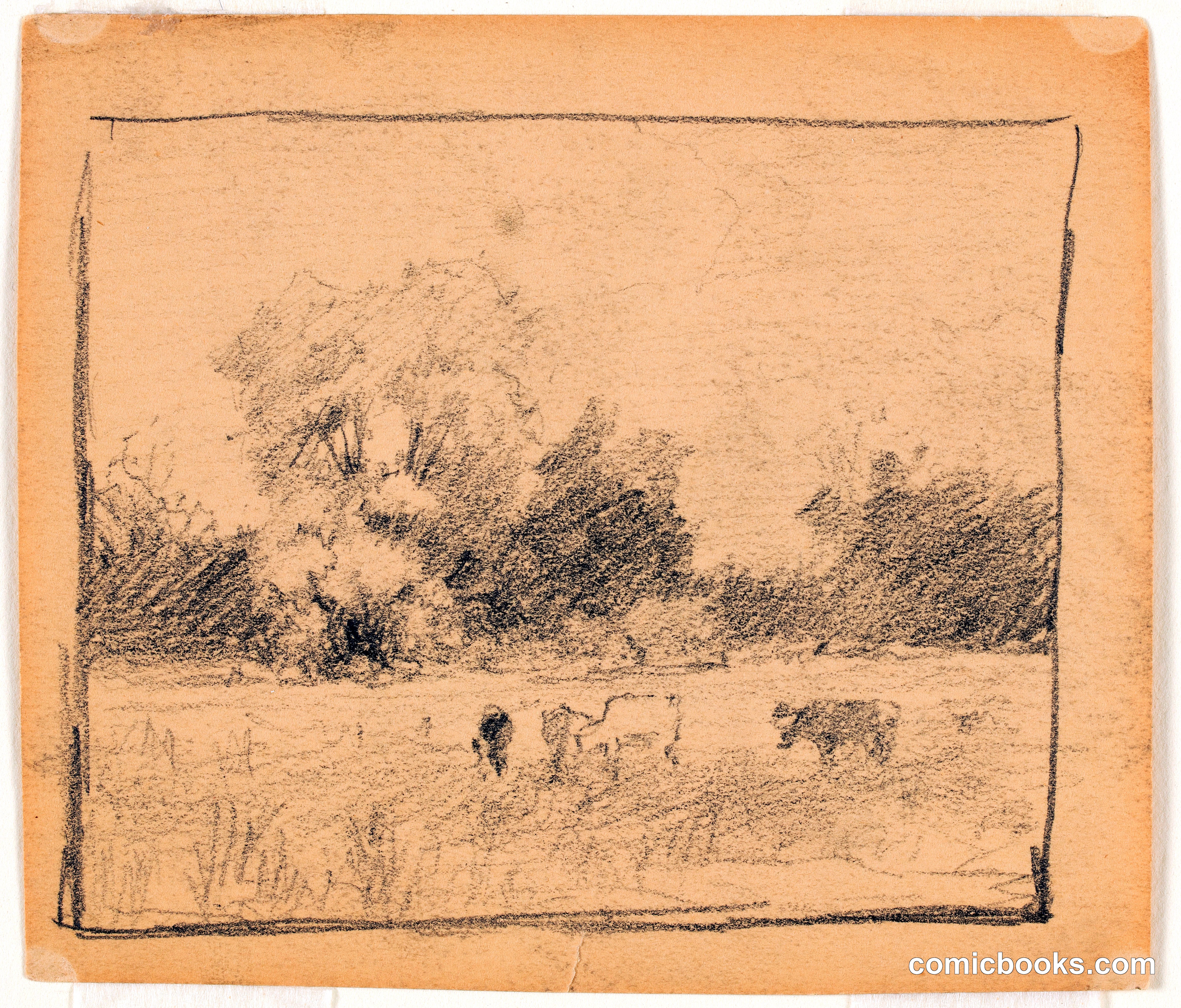 Landscape