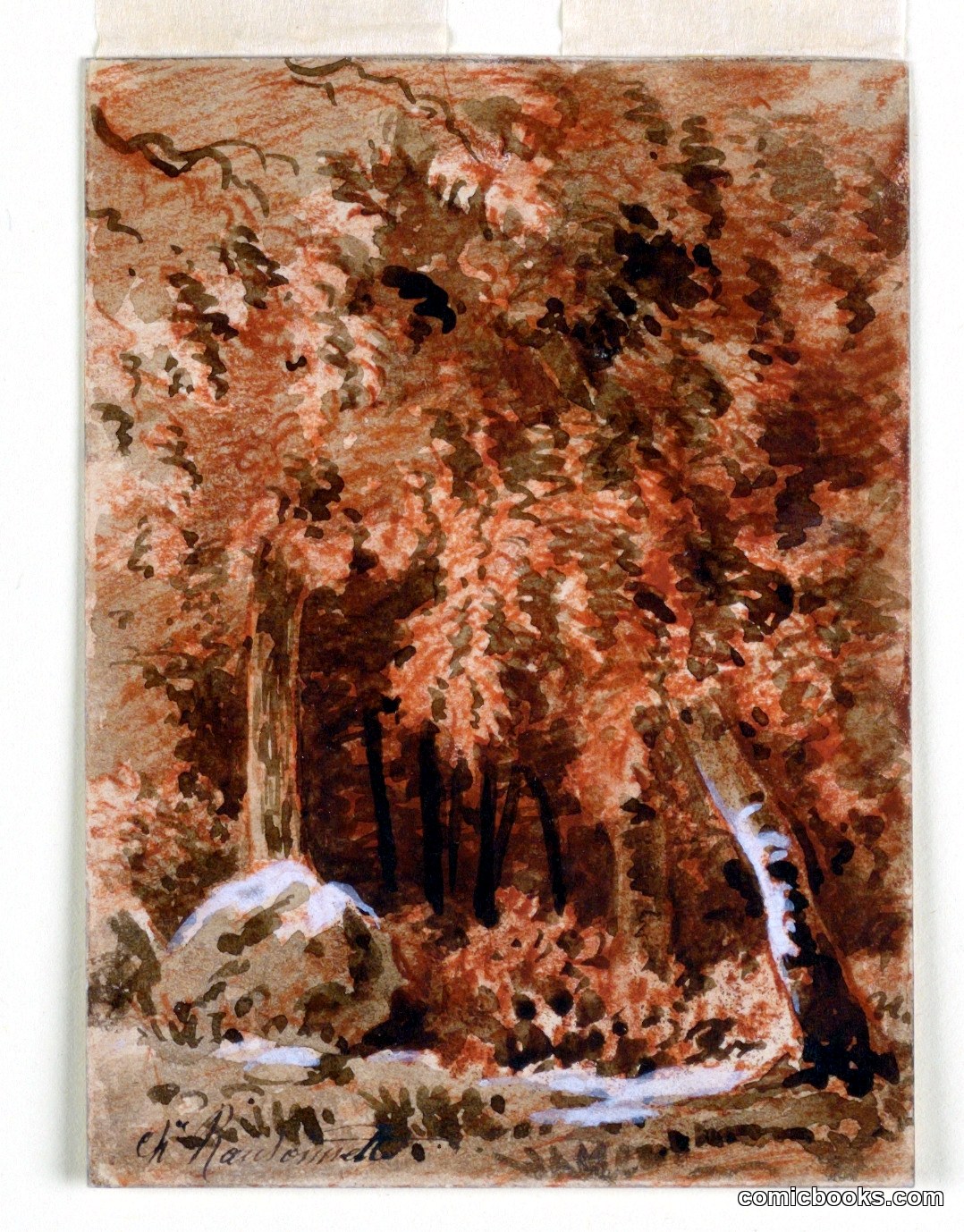 In the Woods
