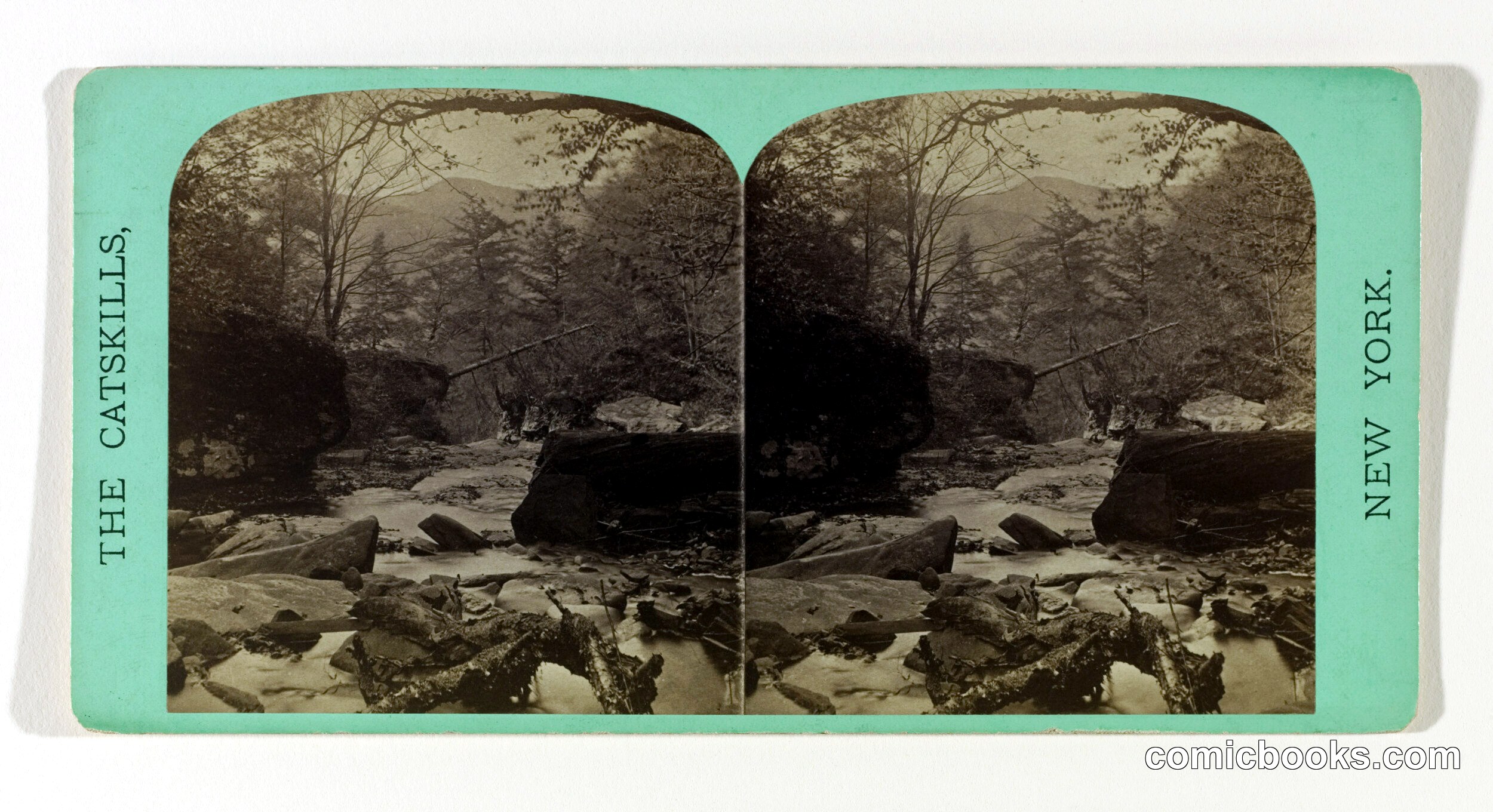 In the Ravine above Bastion Falls, The Catskills, New York