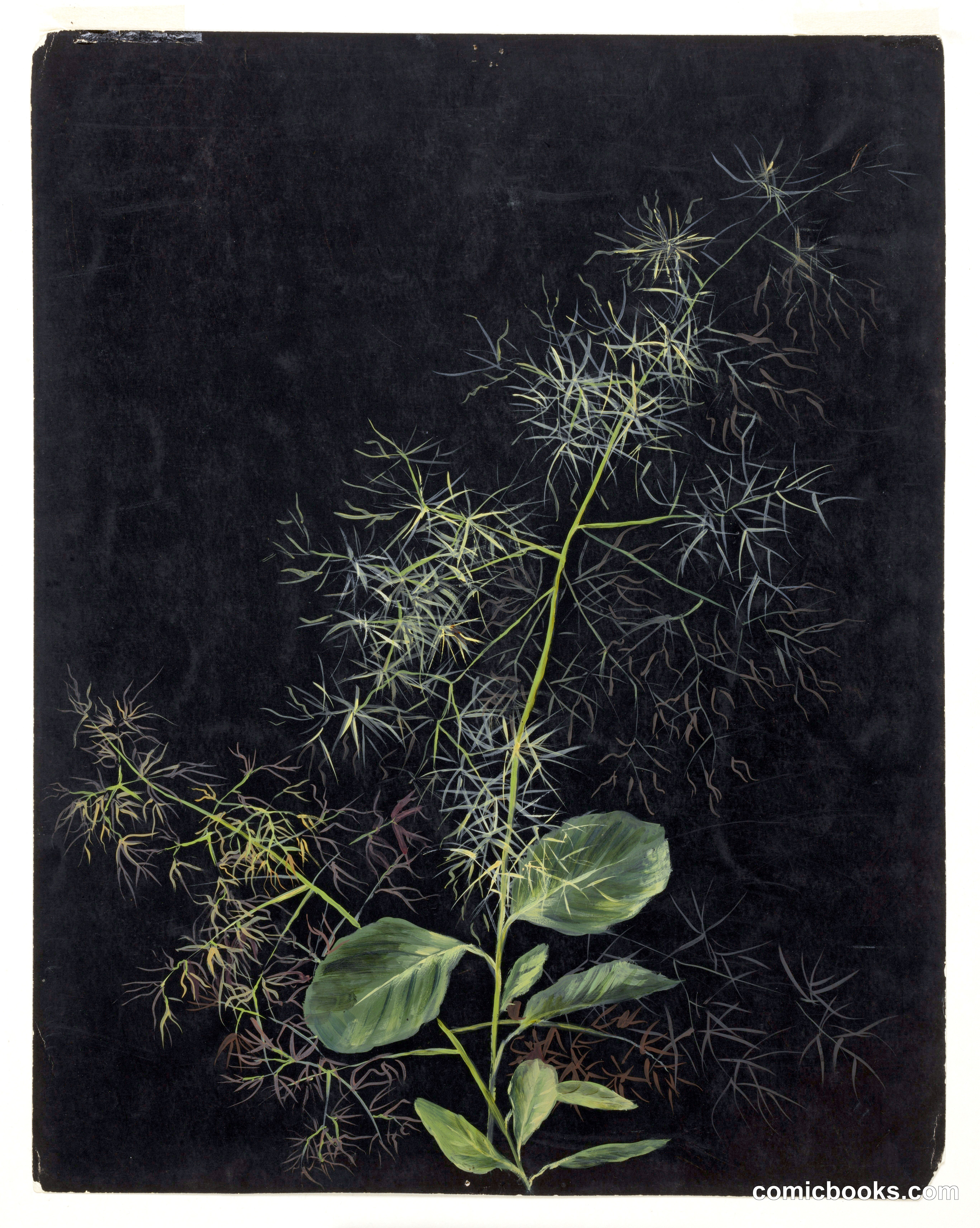 Study of Plant, Possibly Tufted Hairgrass