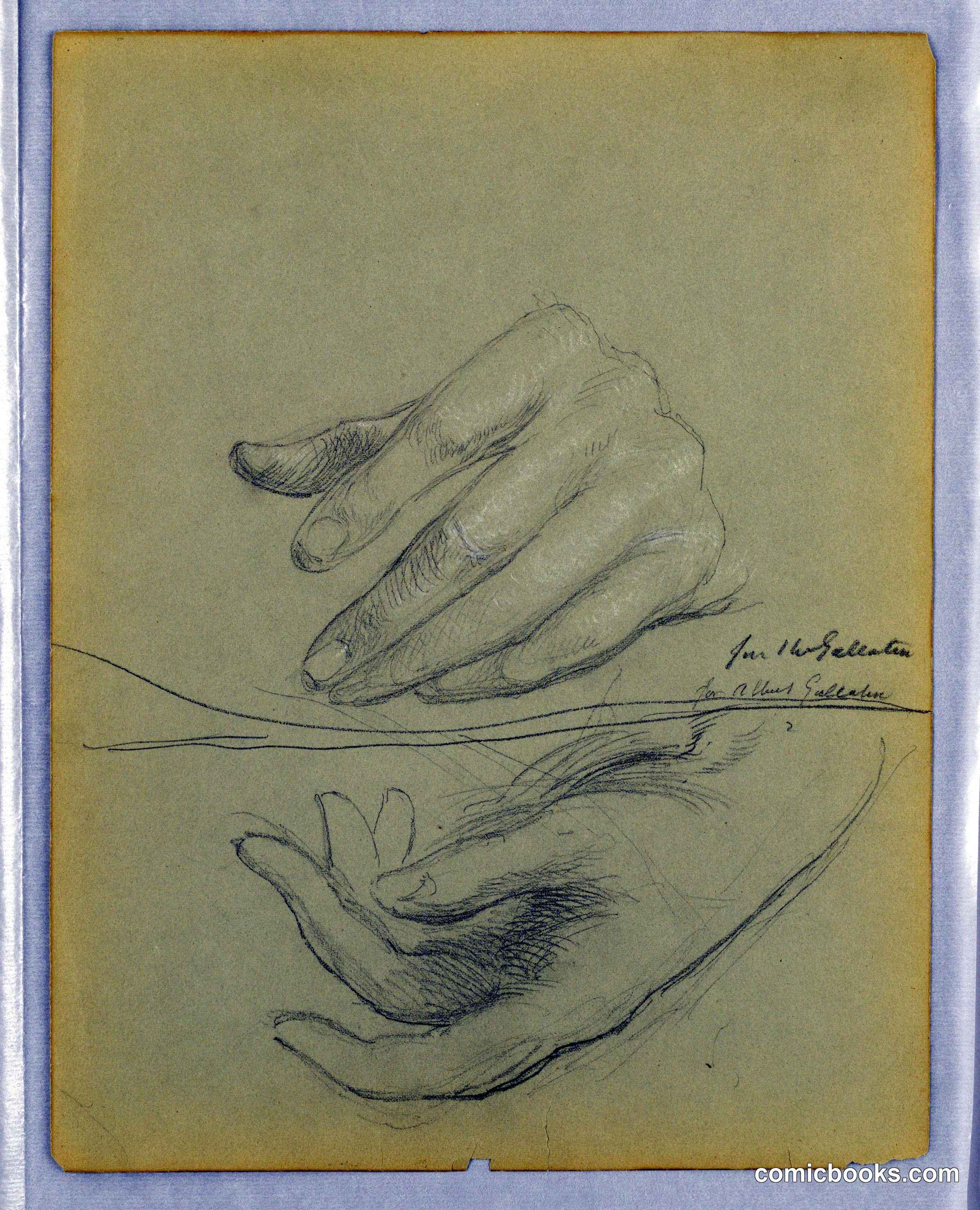 Hand Studies