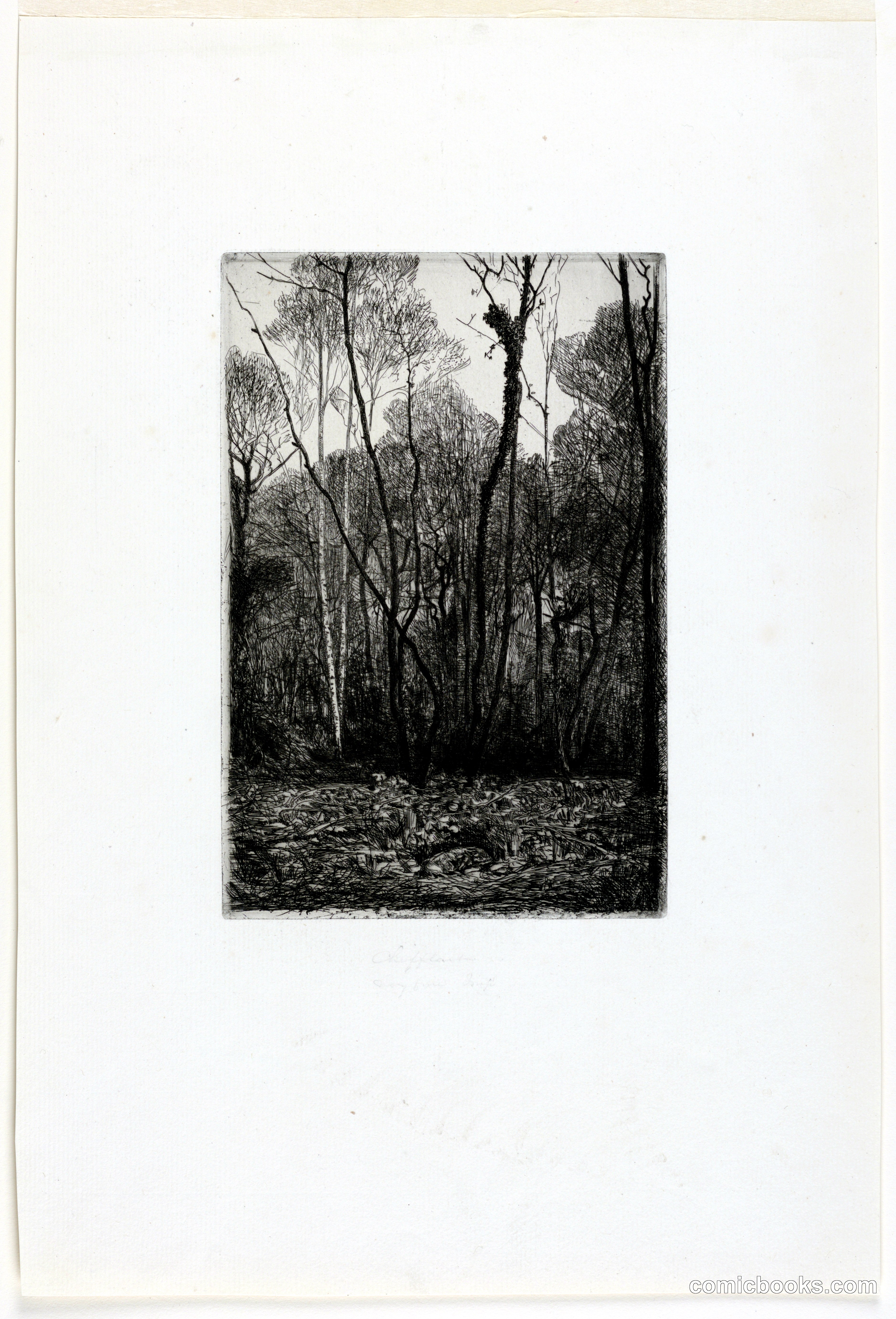 Landscape with Trees