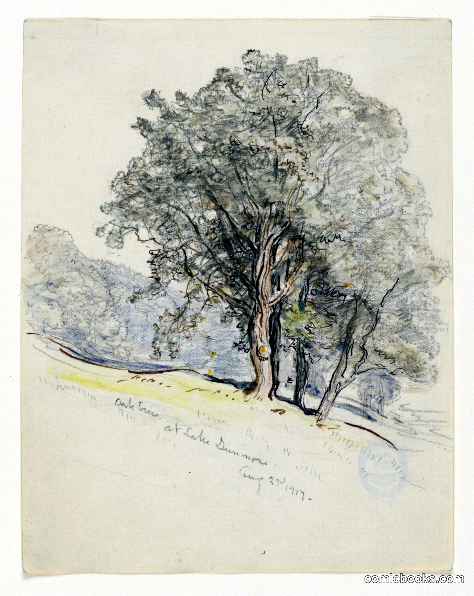 Study of Oak Trees at Lake Dunmore, Vermont