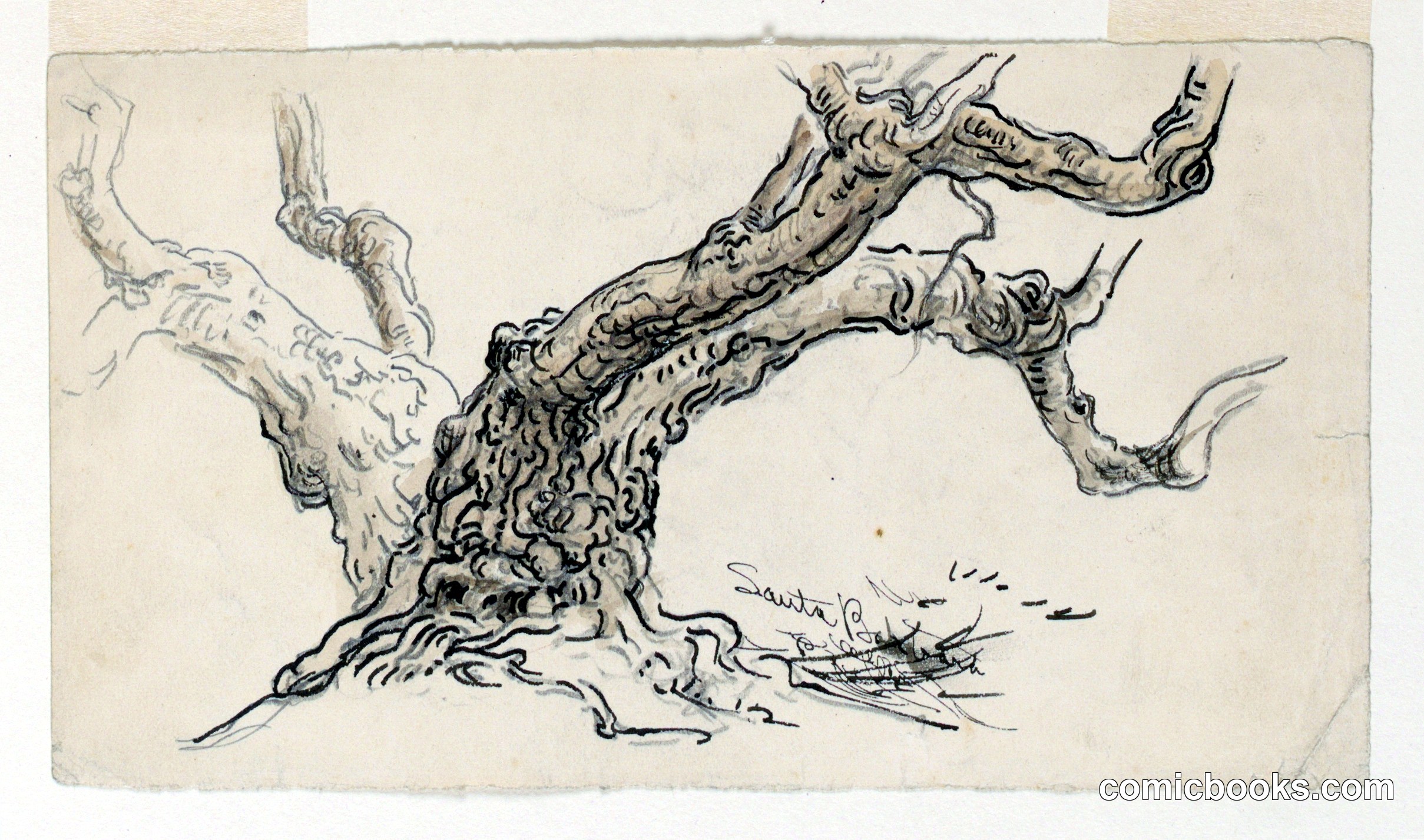 Sketch, Sycamore, Santa Barbara, California