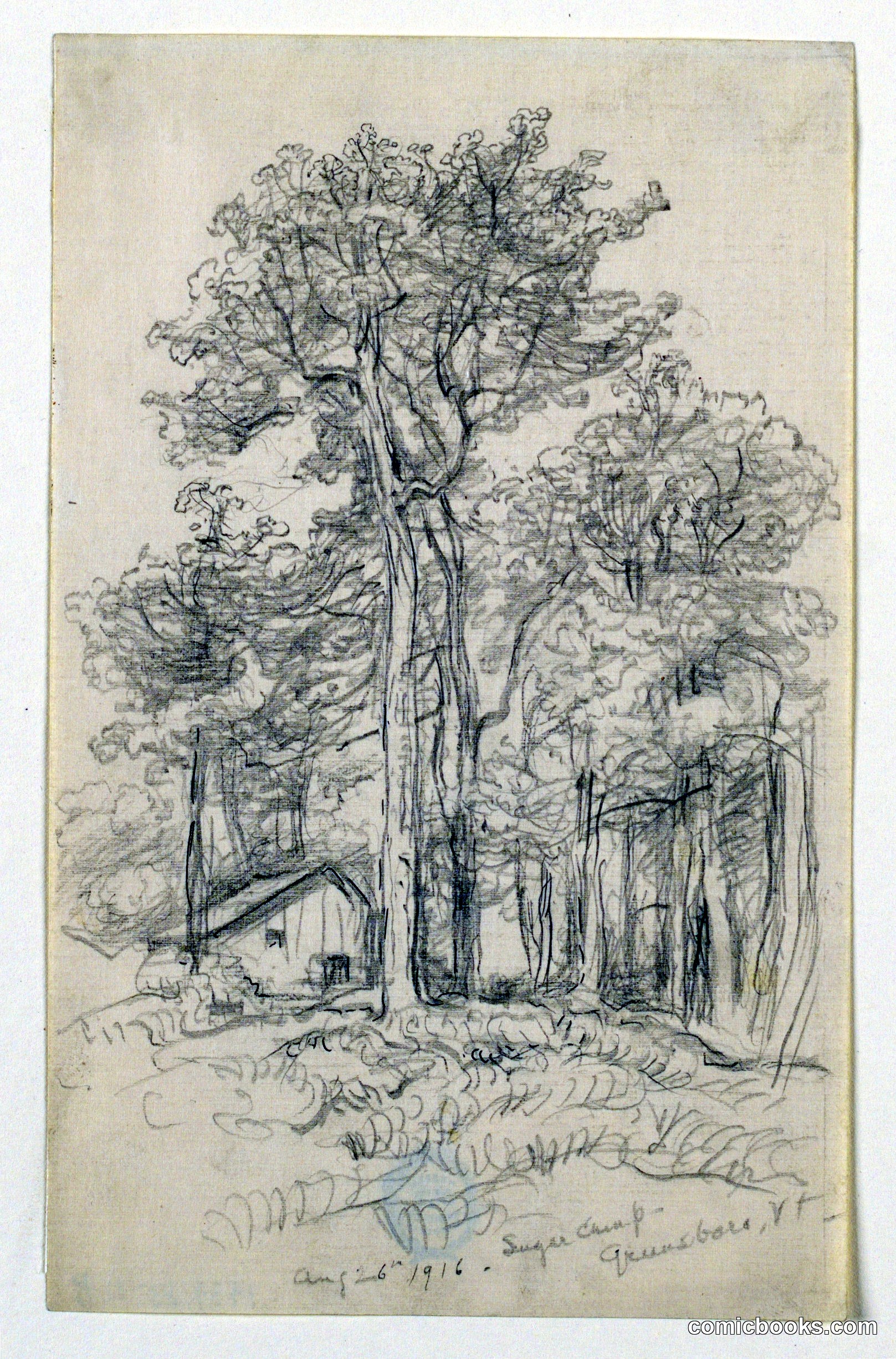 Sketch, Sugar Camp, Greensboro, Vermont