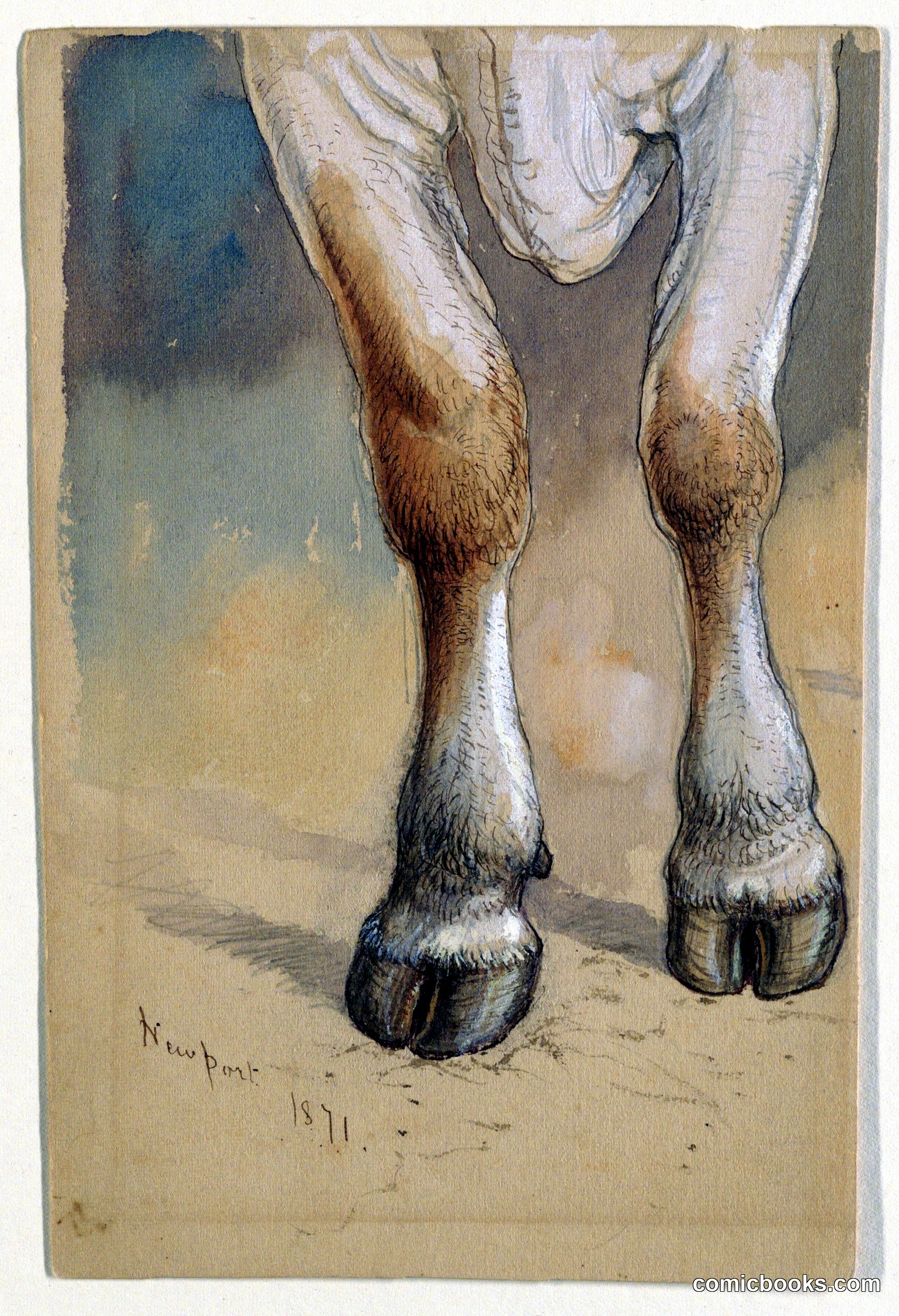 Forelegs of a Standing Cow or Ox