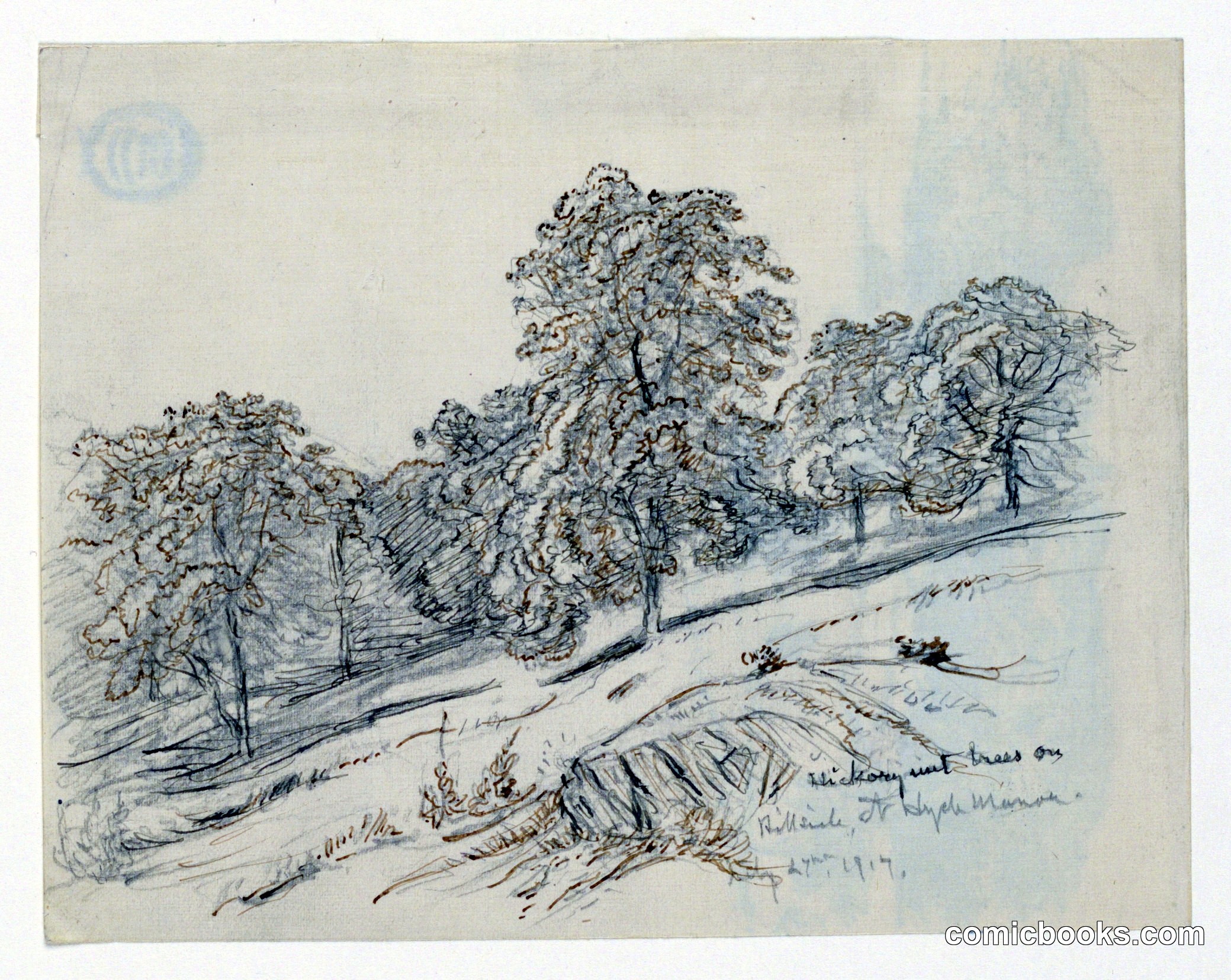 Landscape Sketch, Hyde Manor, Vermont
