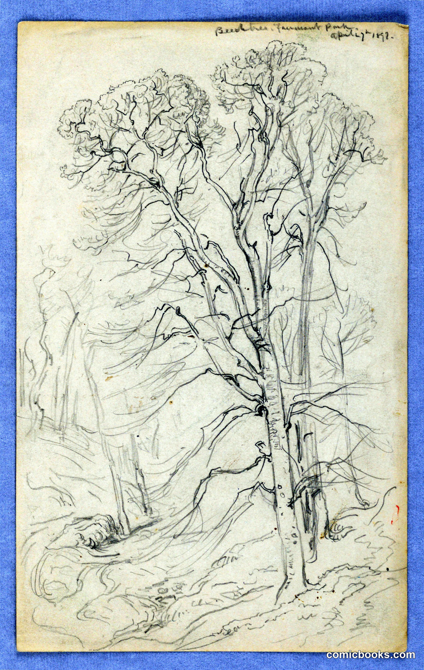 Studies of Trees