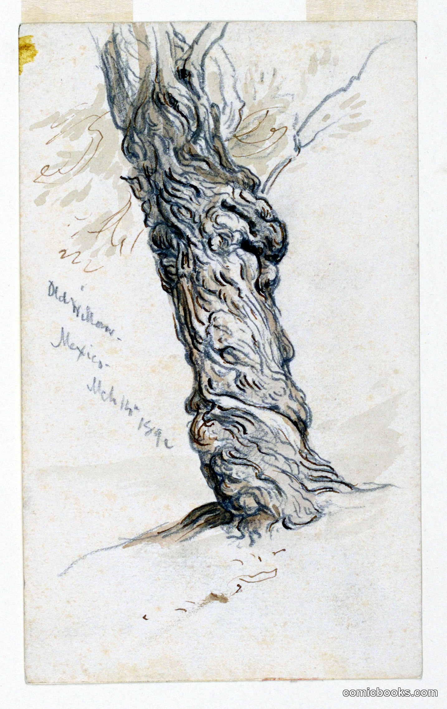 Study of Tree