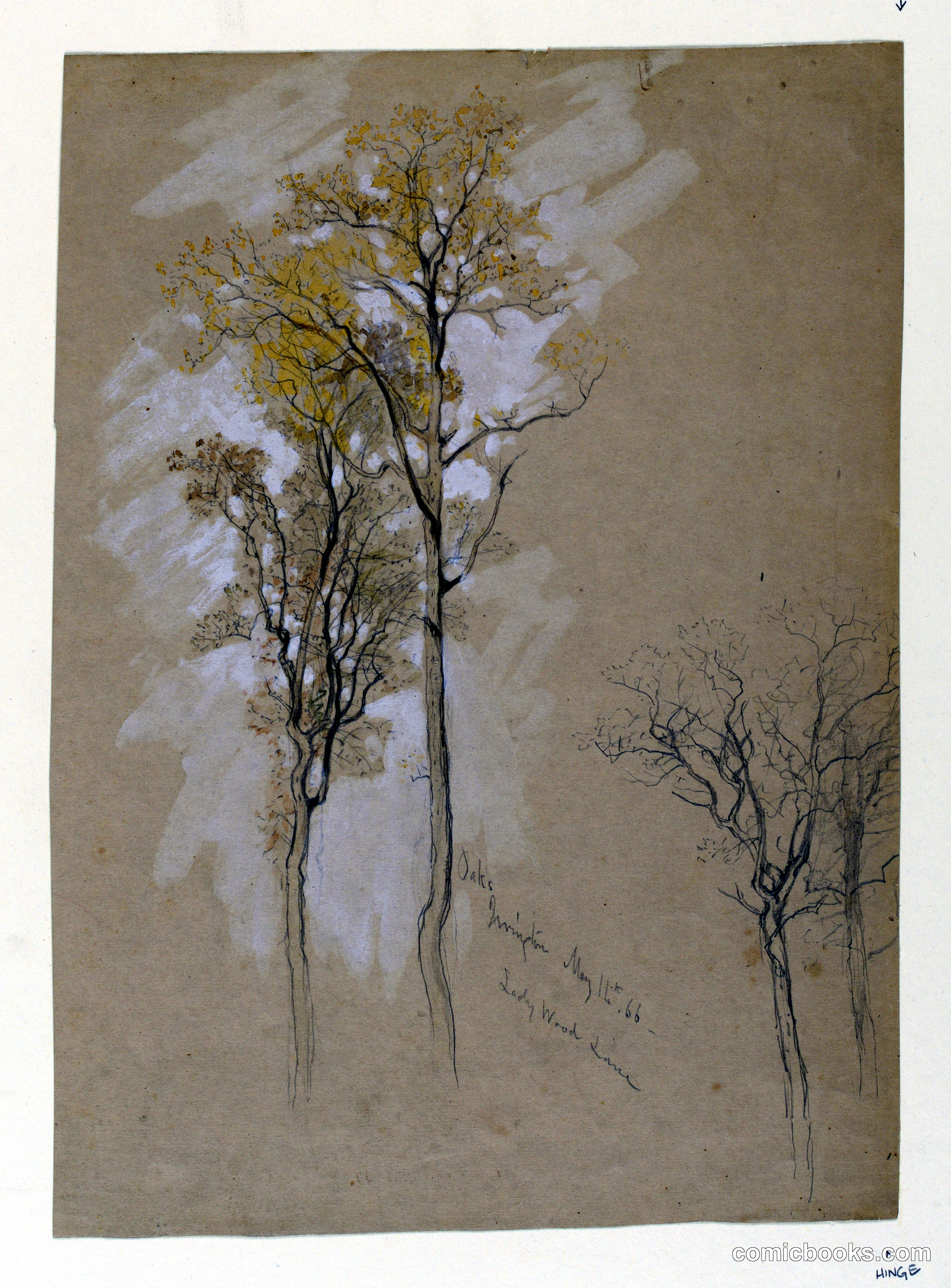 Oaks, Lady Wood Lane, Irvington