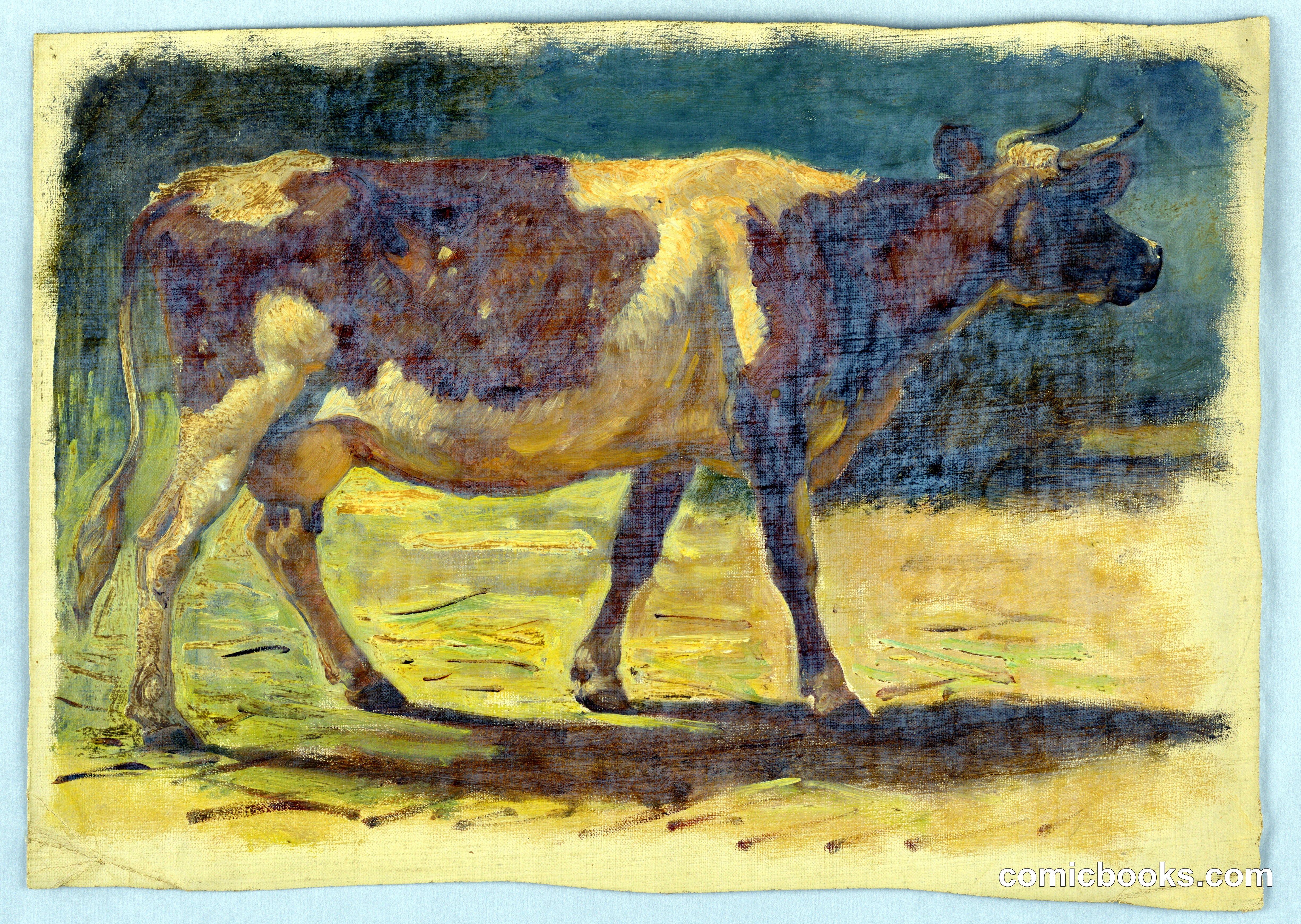 Study of a Standing Cow