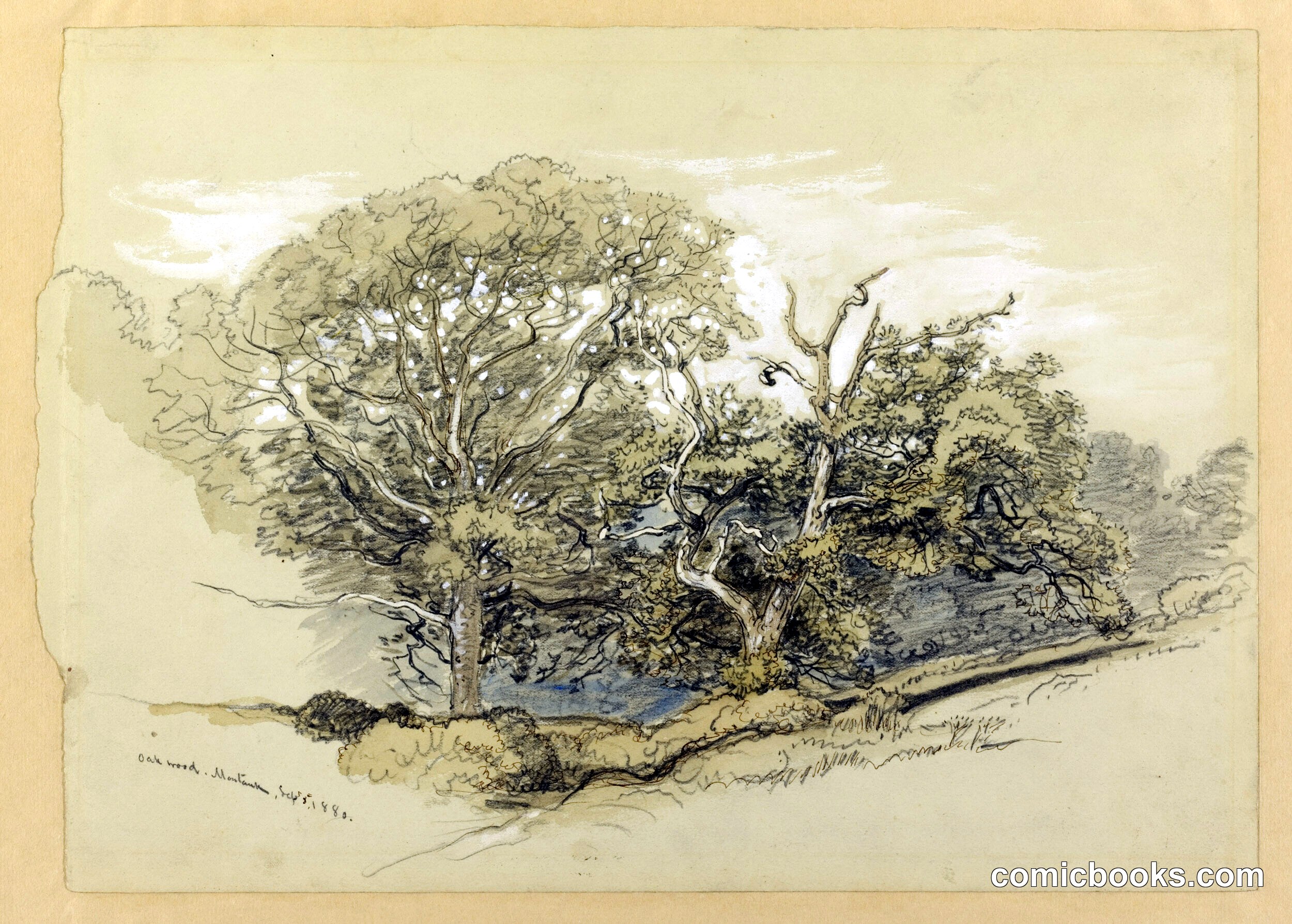 Oak Wood, Montauk, New York