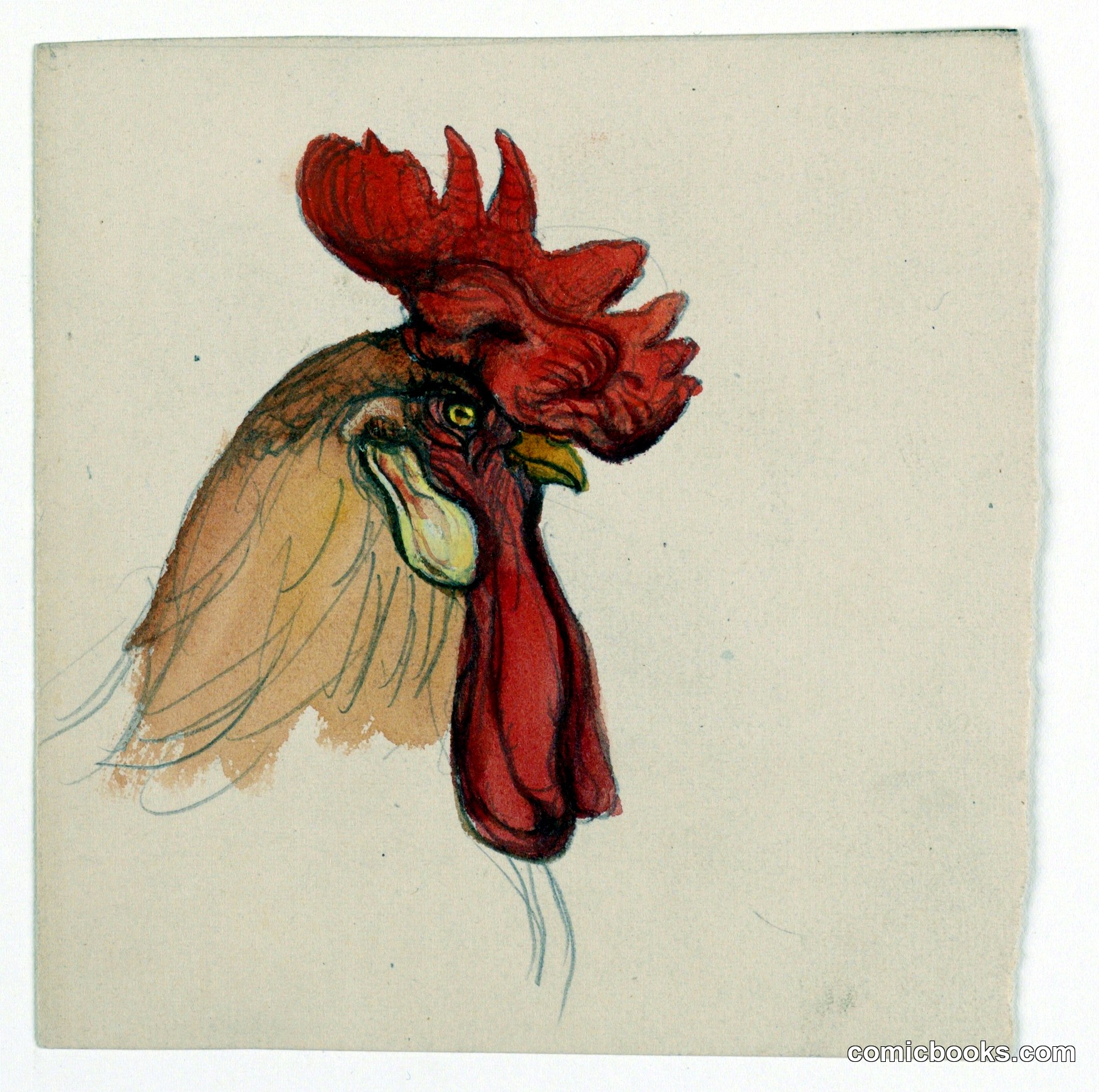 Head of a Rooster
