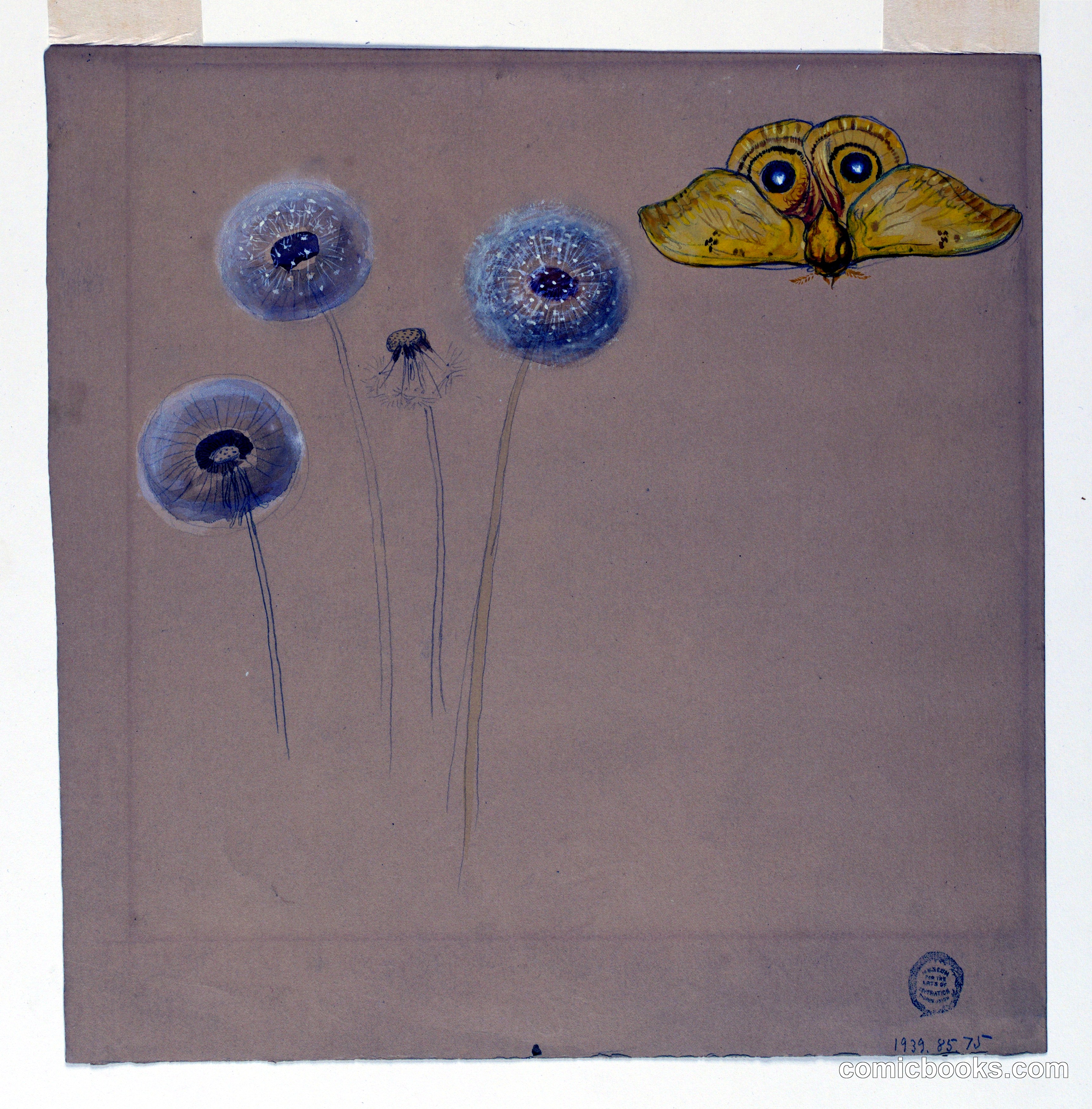 Study of White Daisy, Chamomile Stem with Two Petals, and a Chamomile Petal