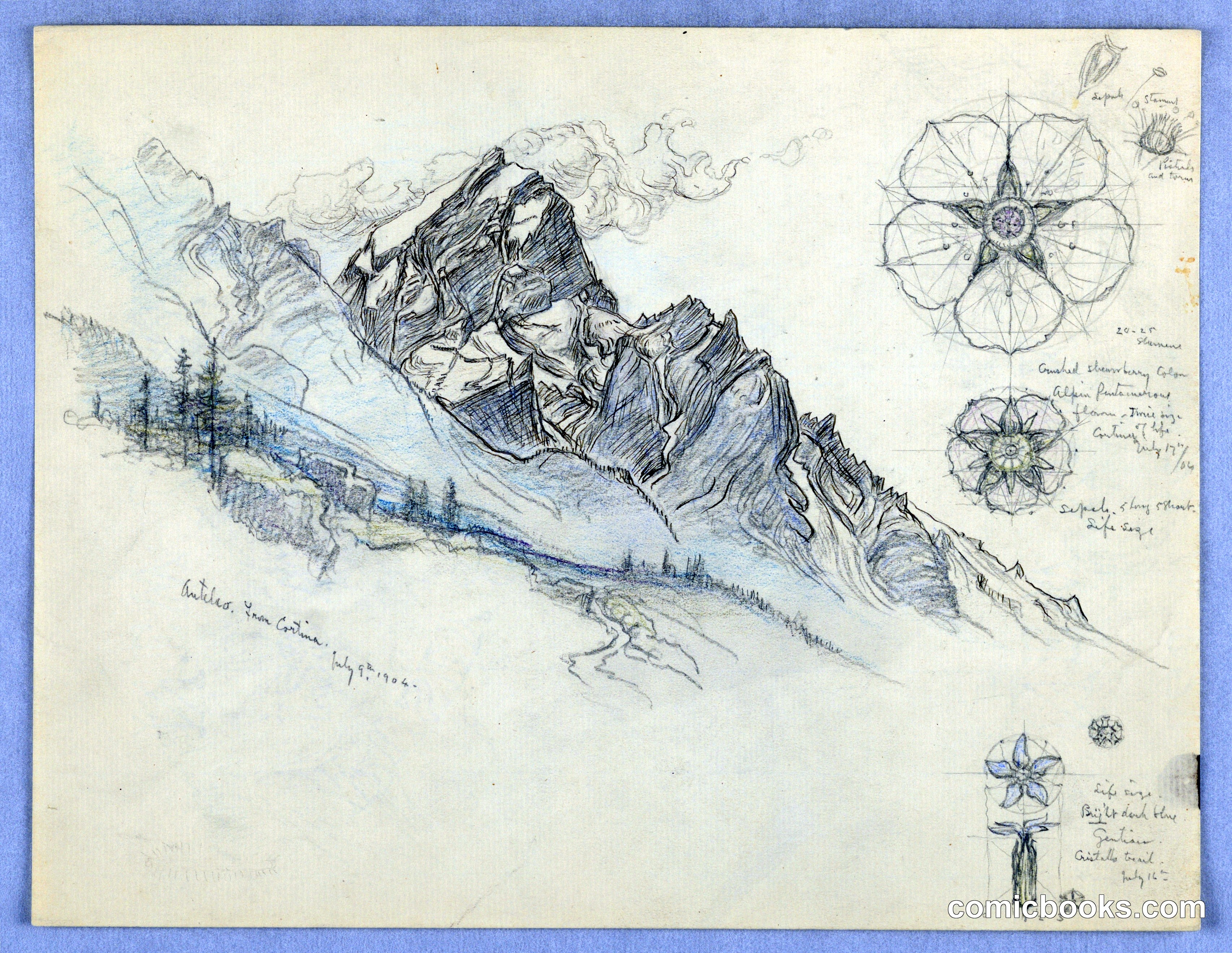 Antelao, From Cortina, with Studies of Flowers