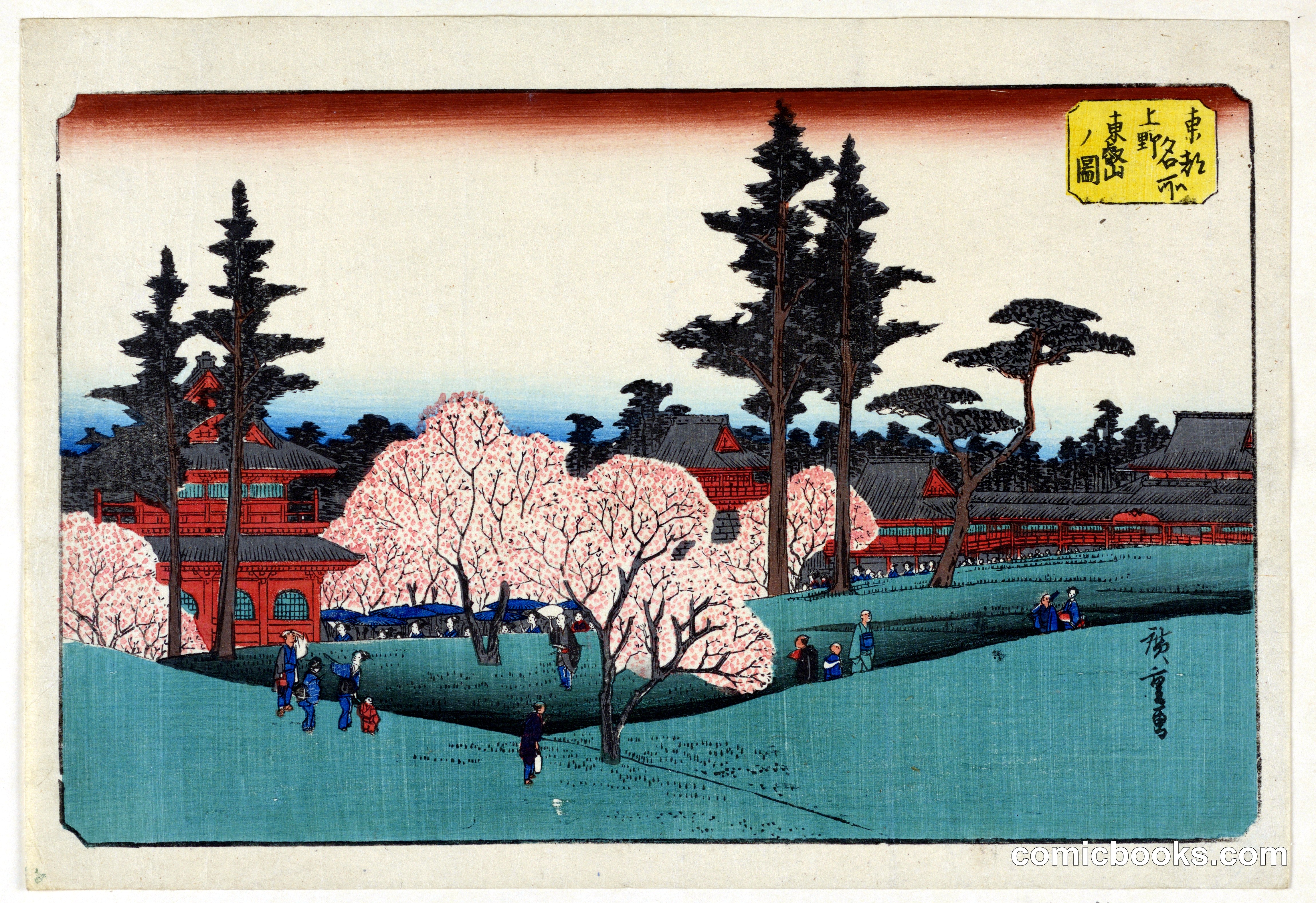 Cherry Blossom Viewing