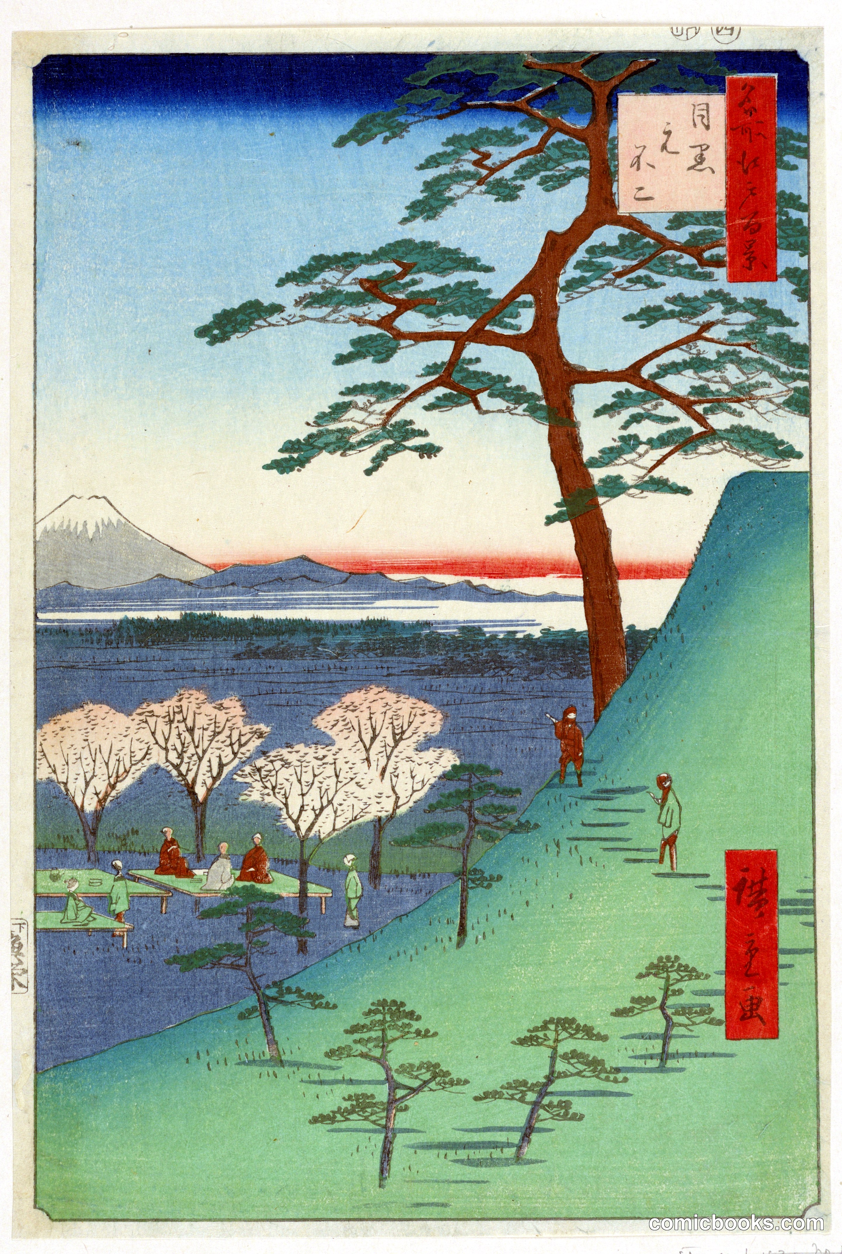 Viewing of Cherry Blossoms