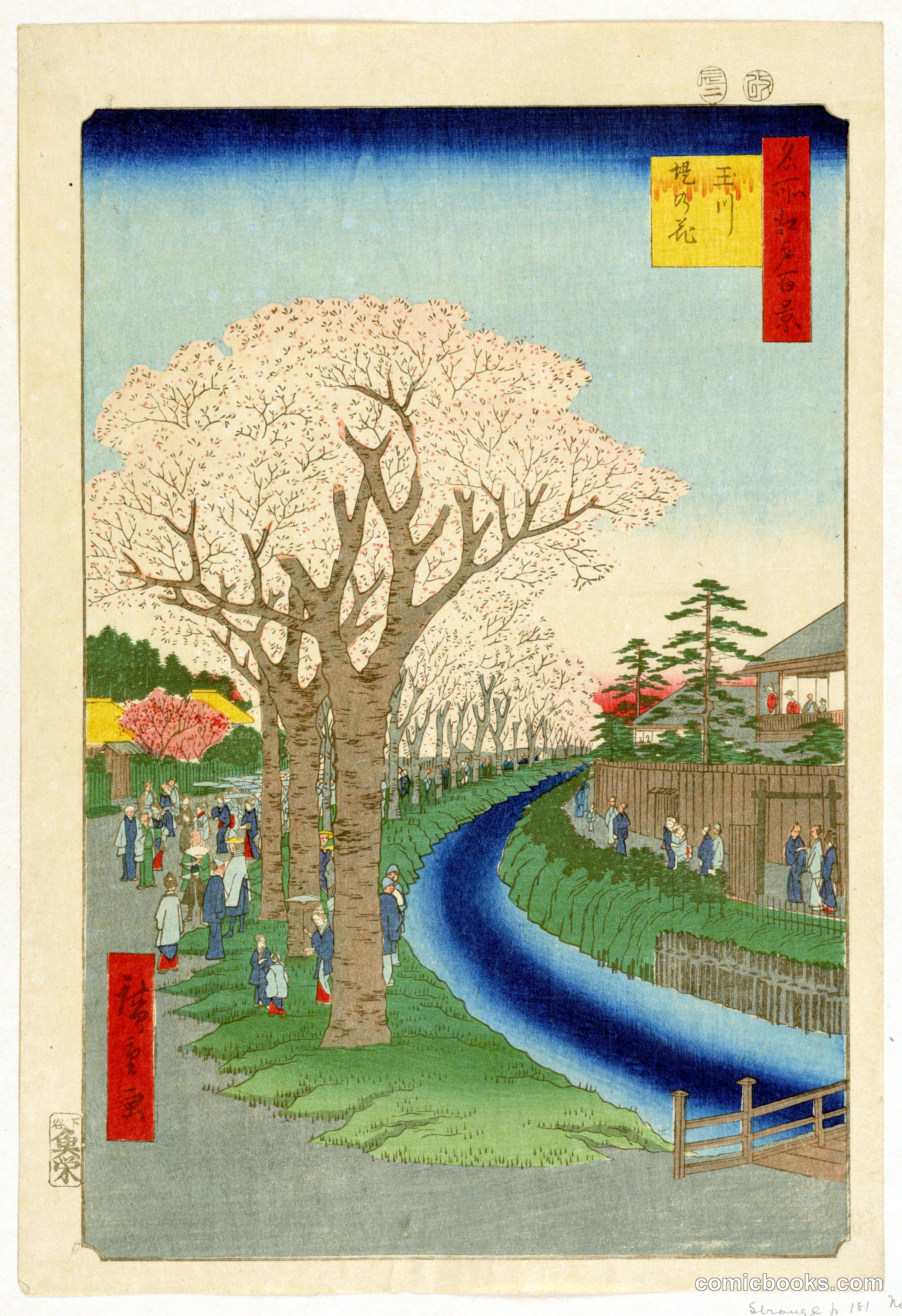 Cherry Blossom Viewing
