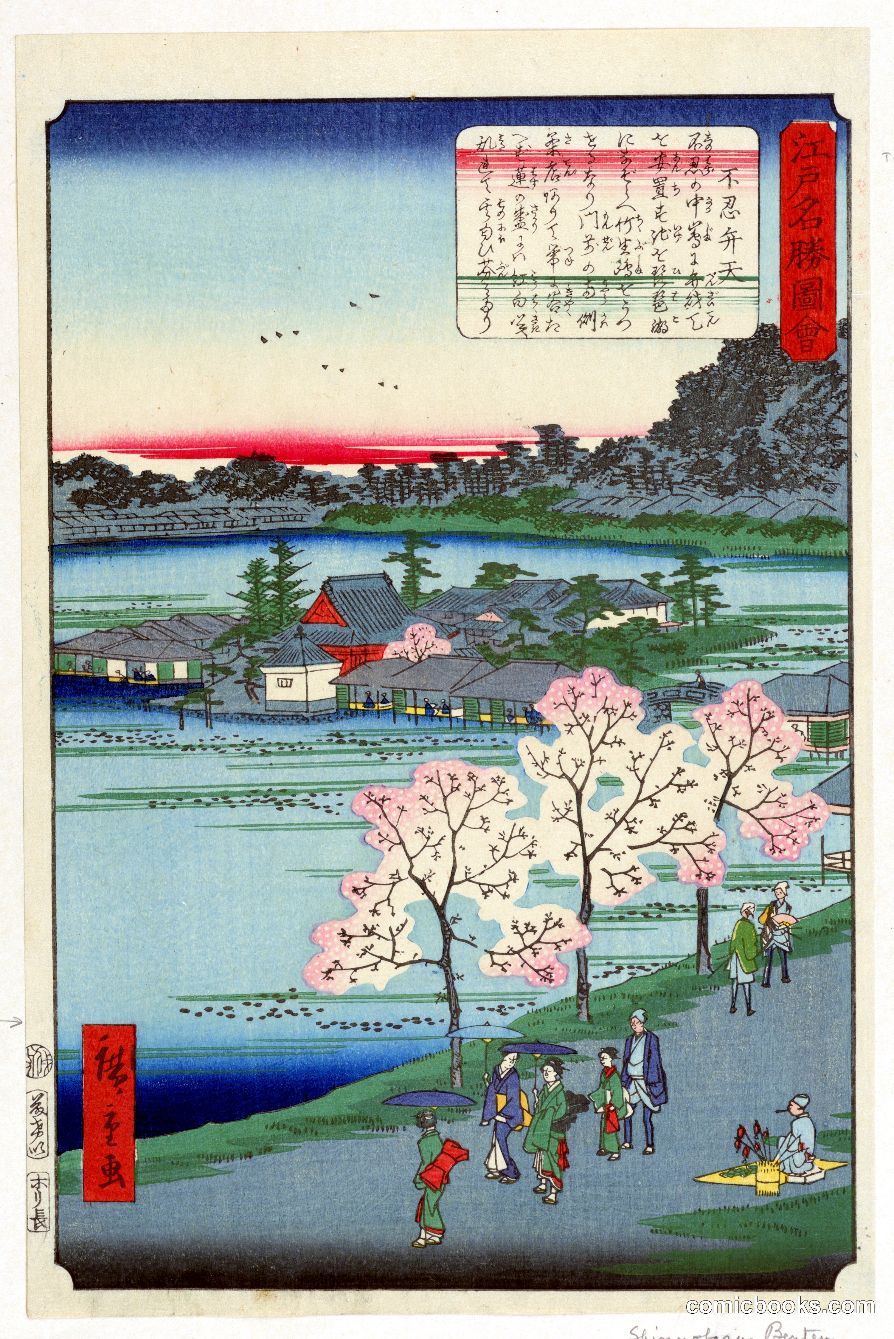 Cherry Blossom Viewing