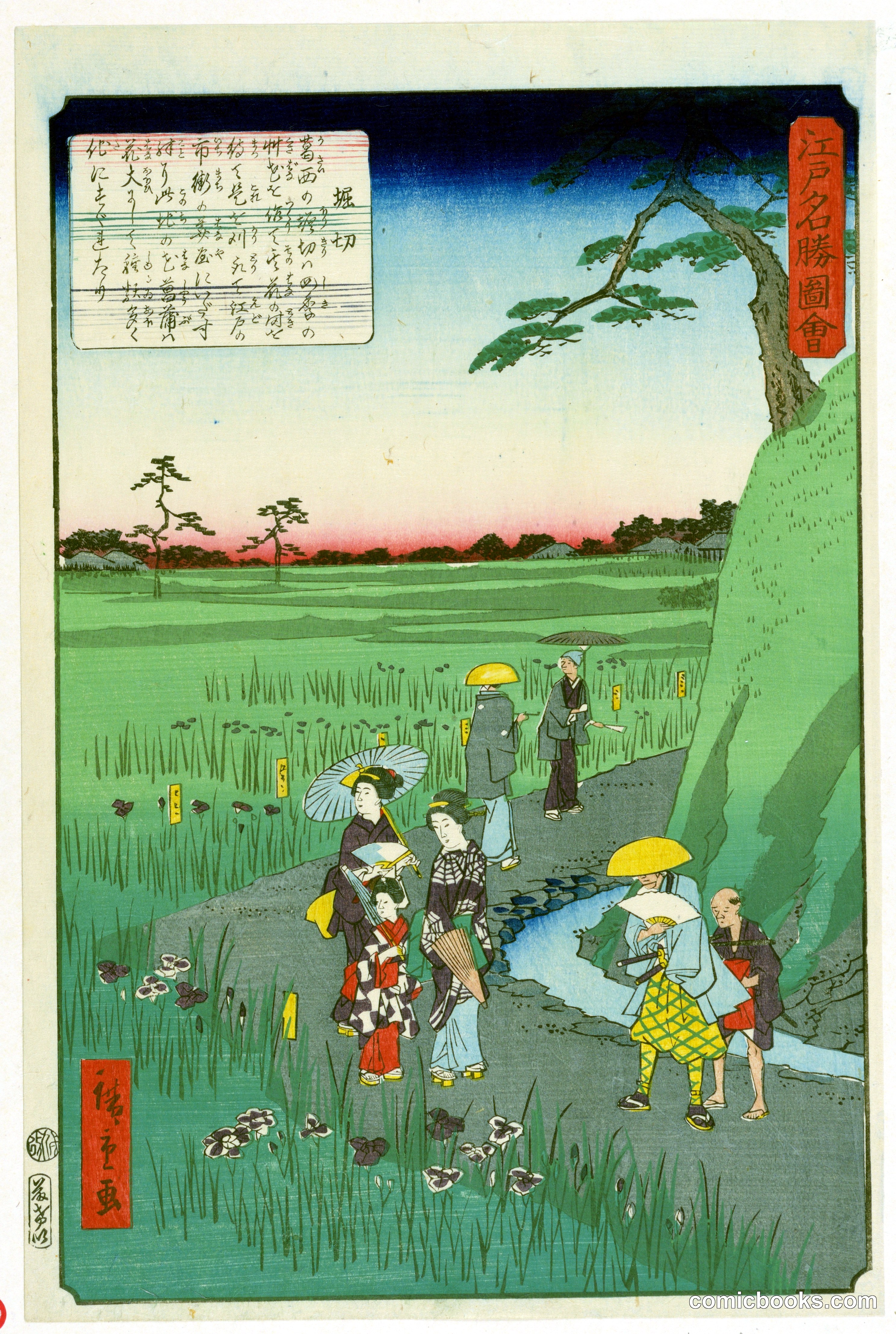 Iris Viewing