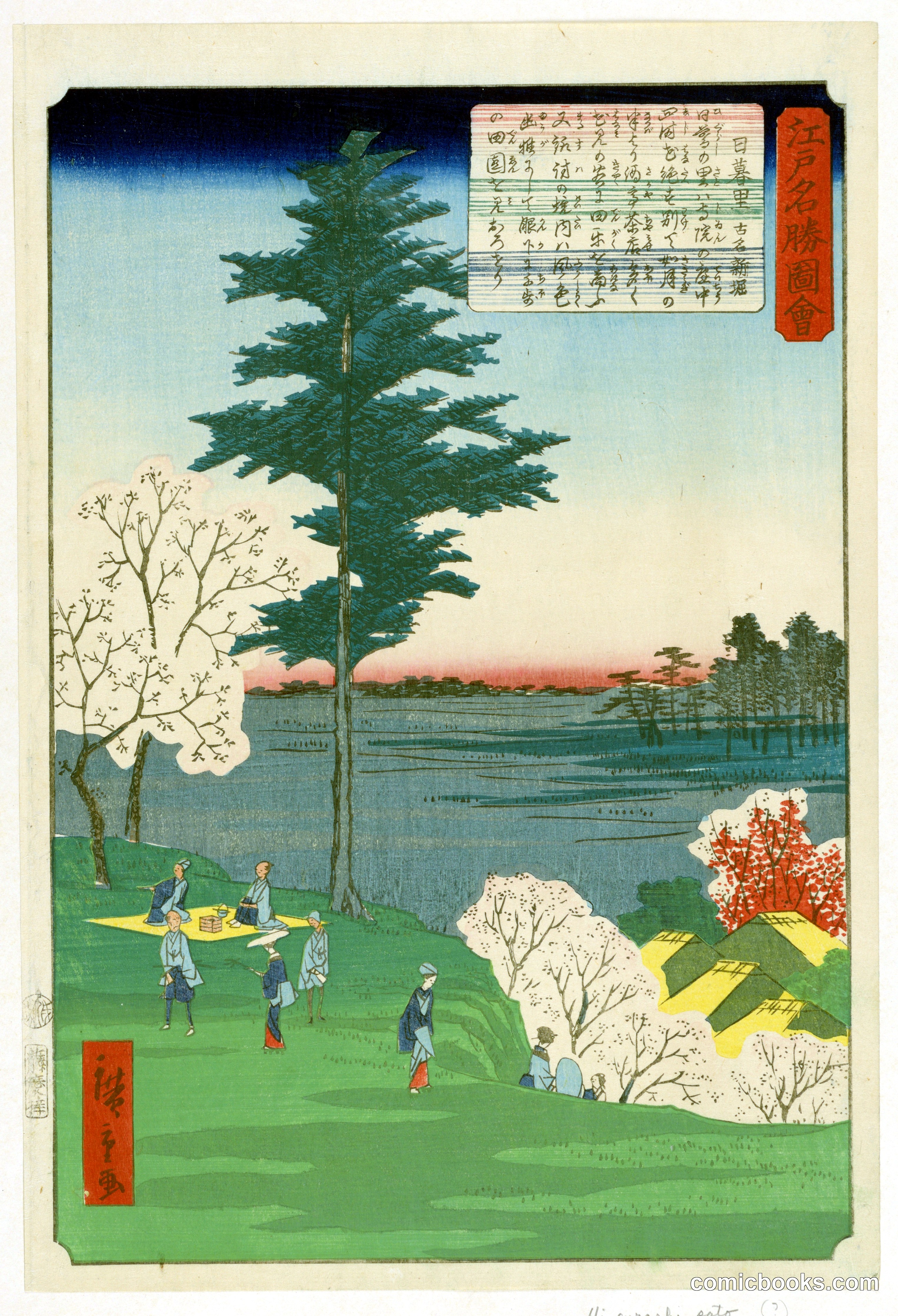Cherry Blossom Viewing