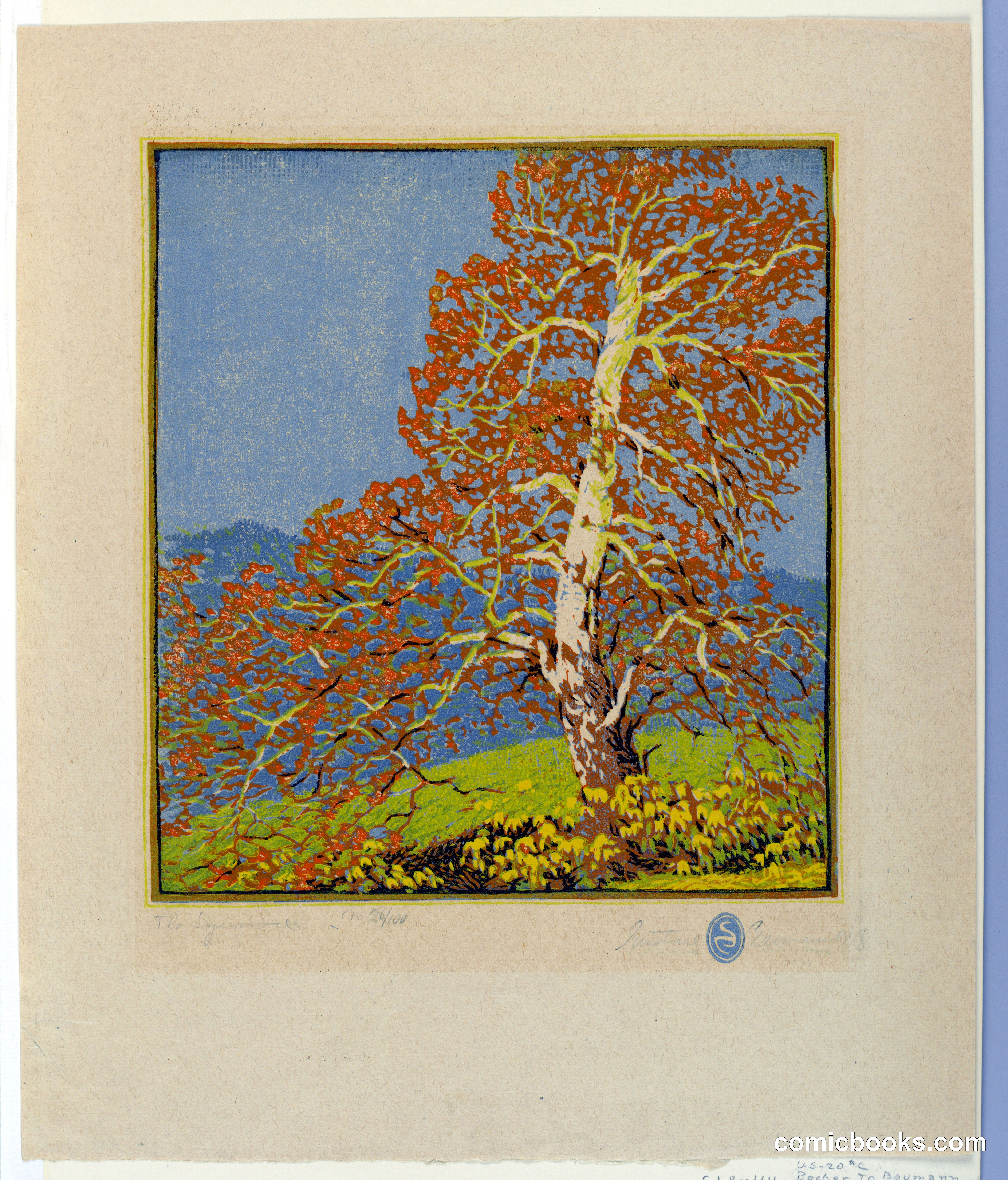 The Sycamore
