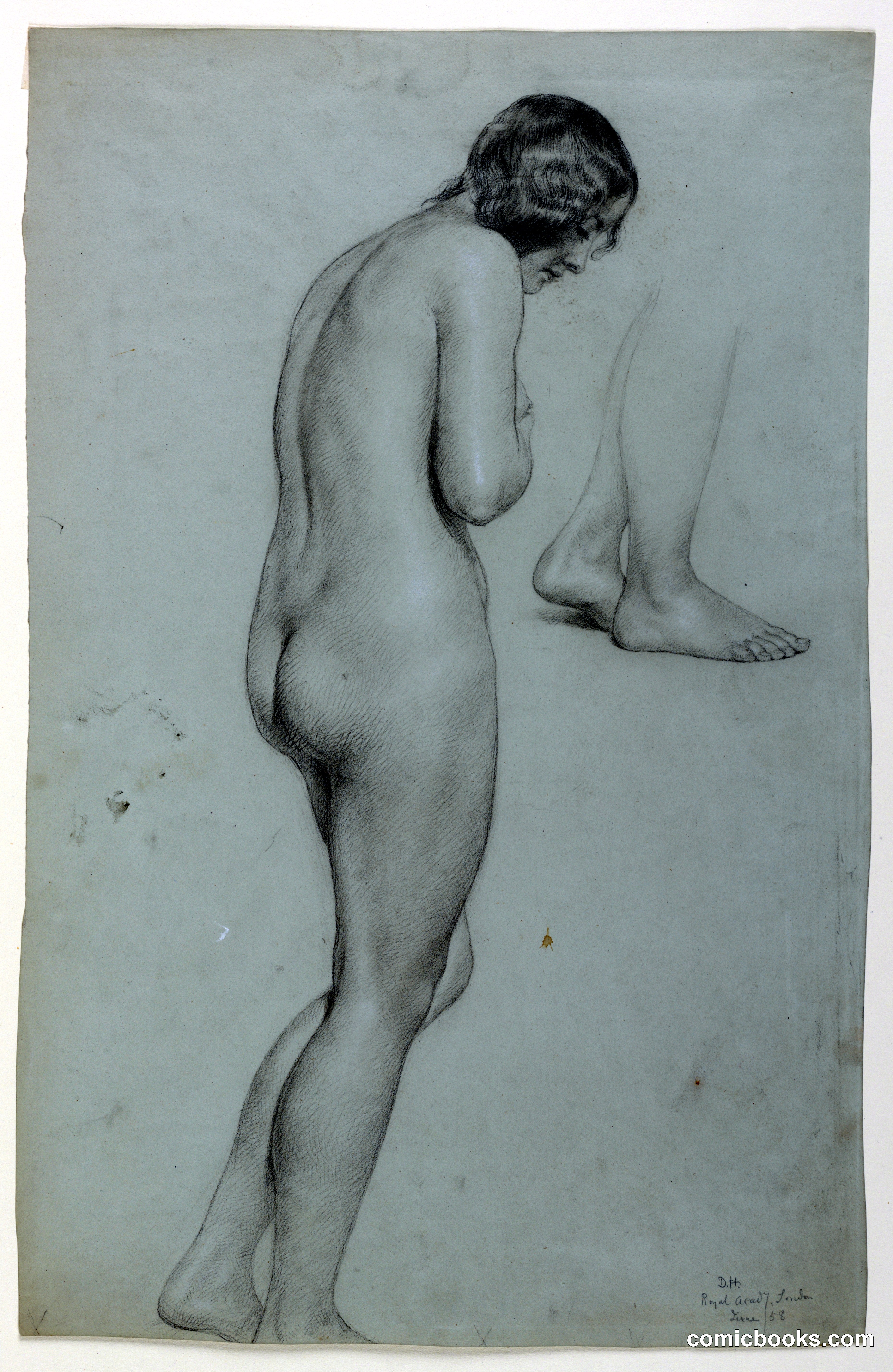 Female Nude