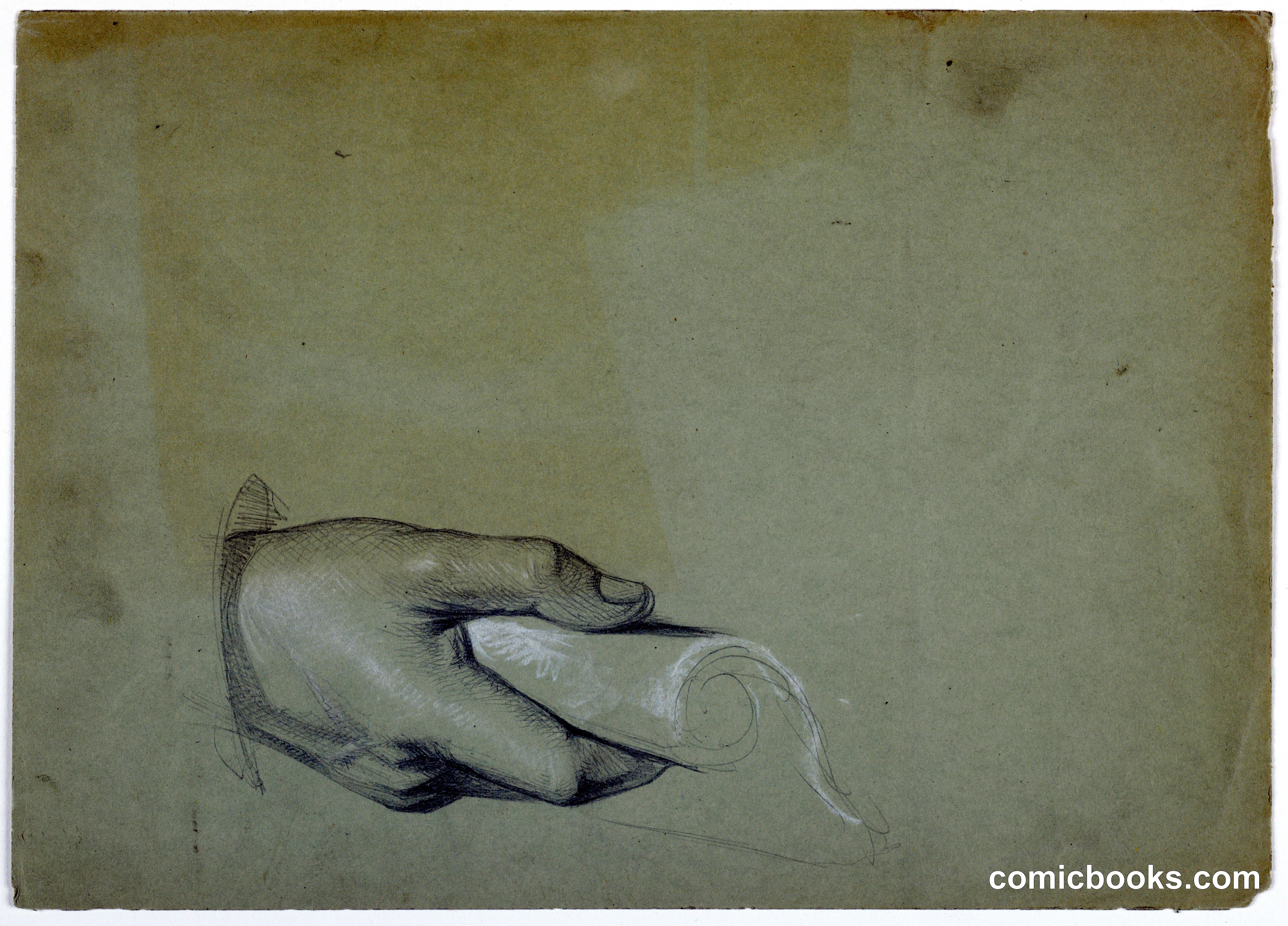 Study of a Man's Hand for 'Tribute Money'