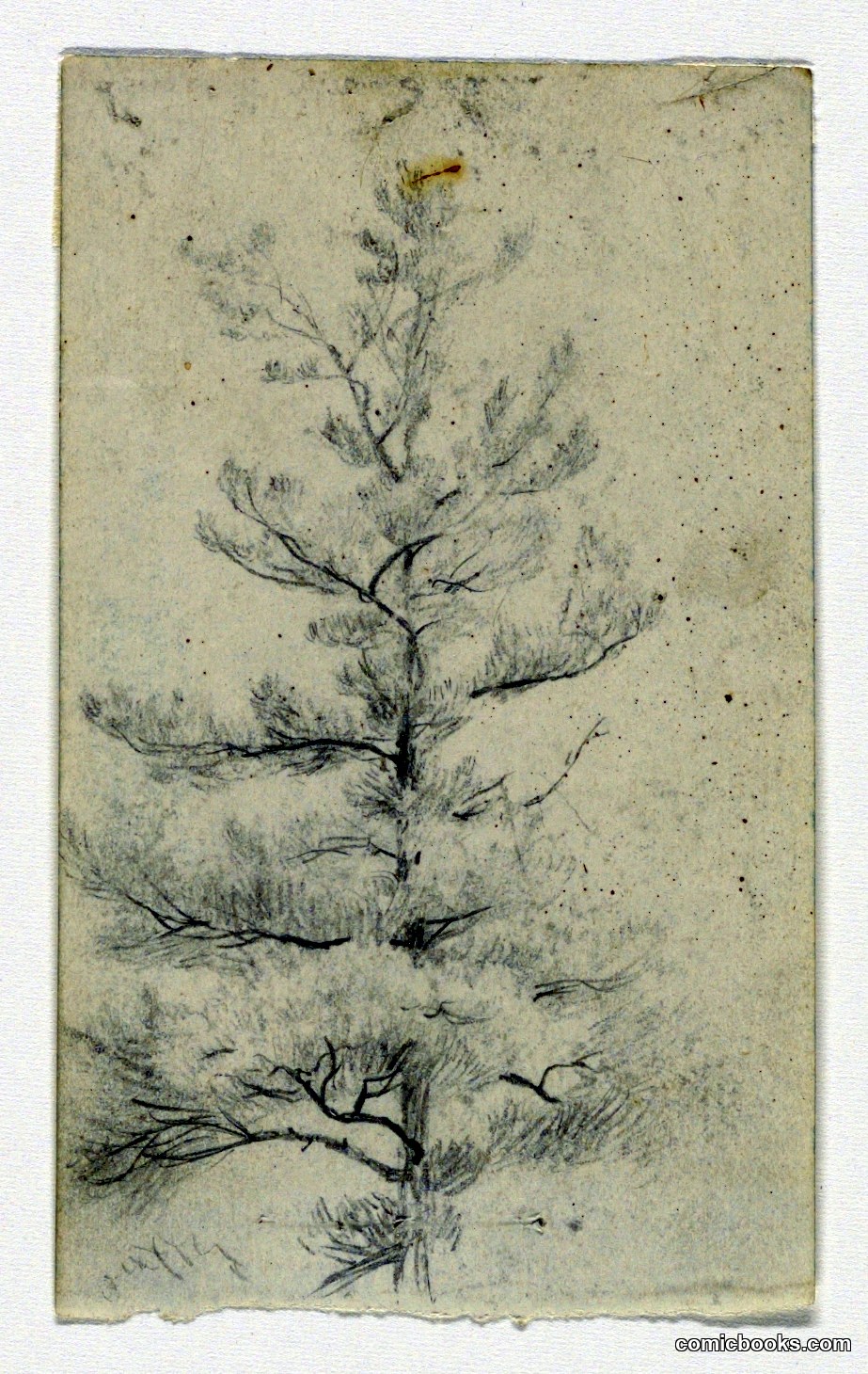Sketch of a Tree
