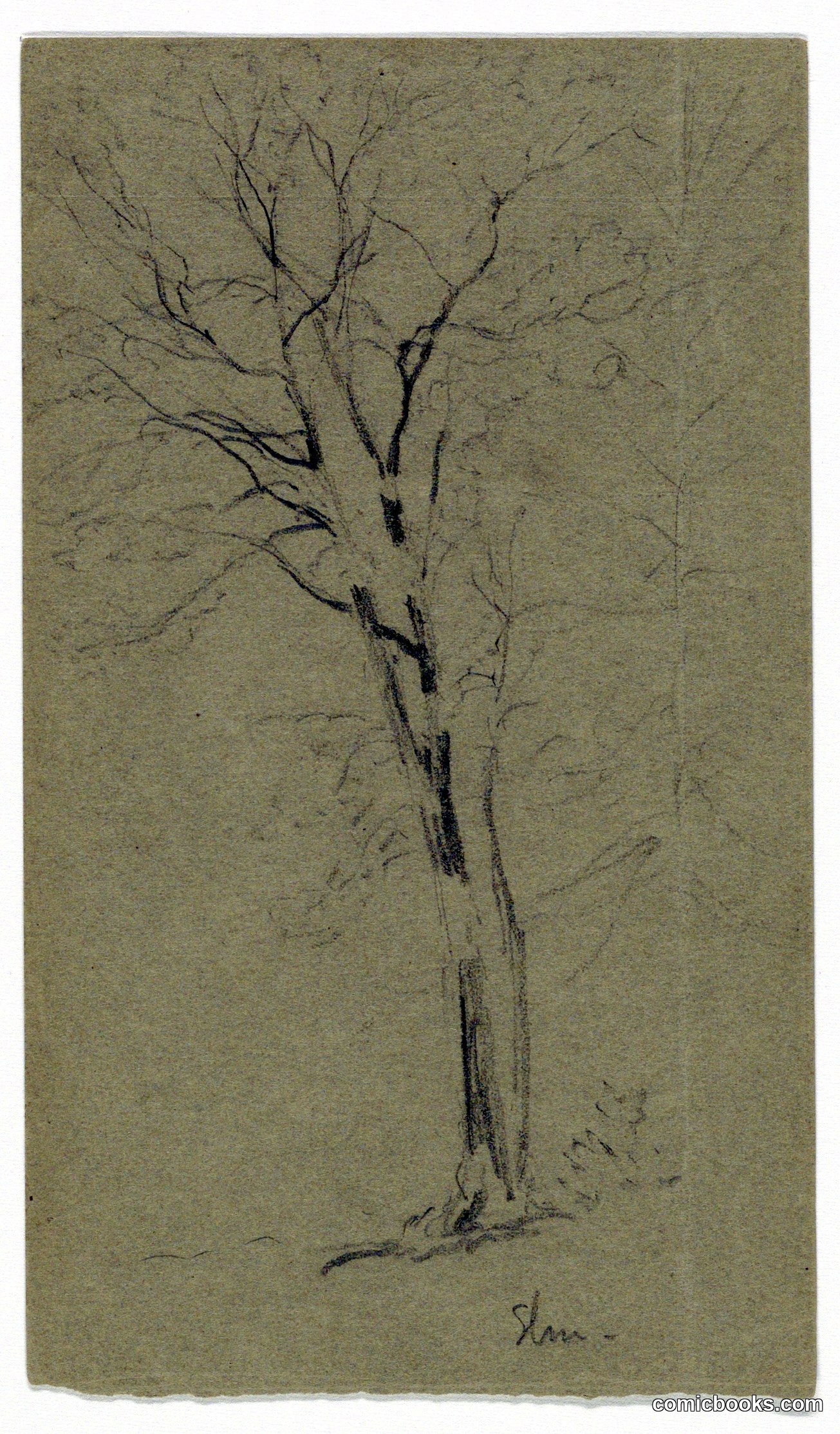 Study of an Elm