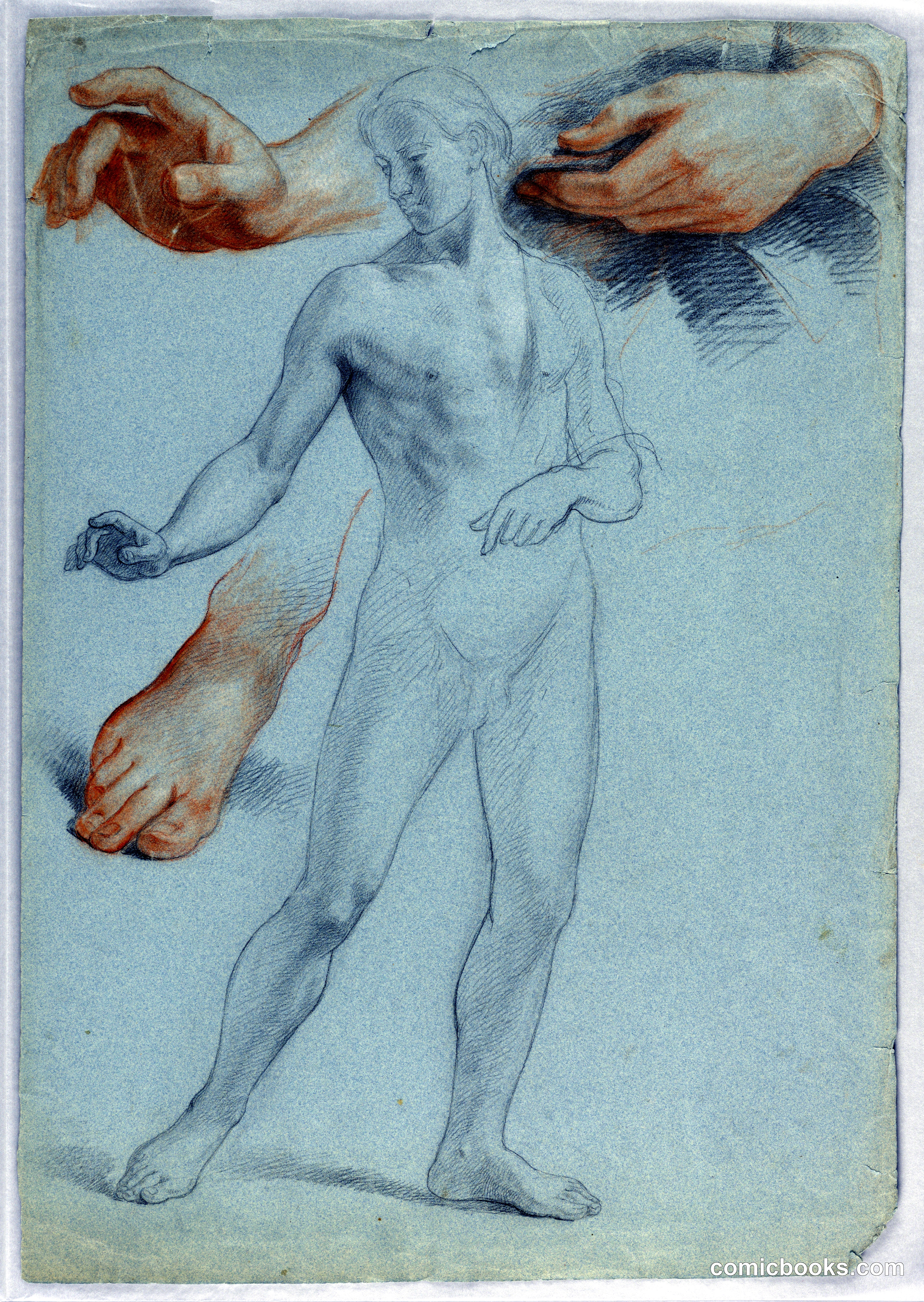 Male Nude Standing, Separate Studies