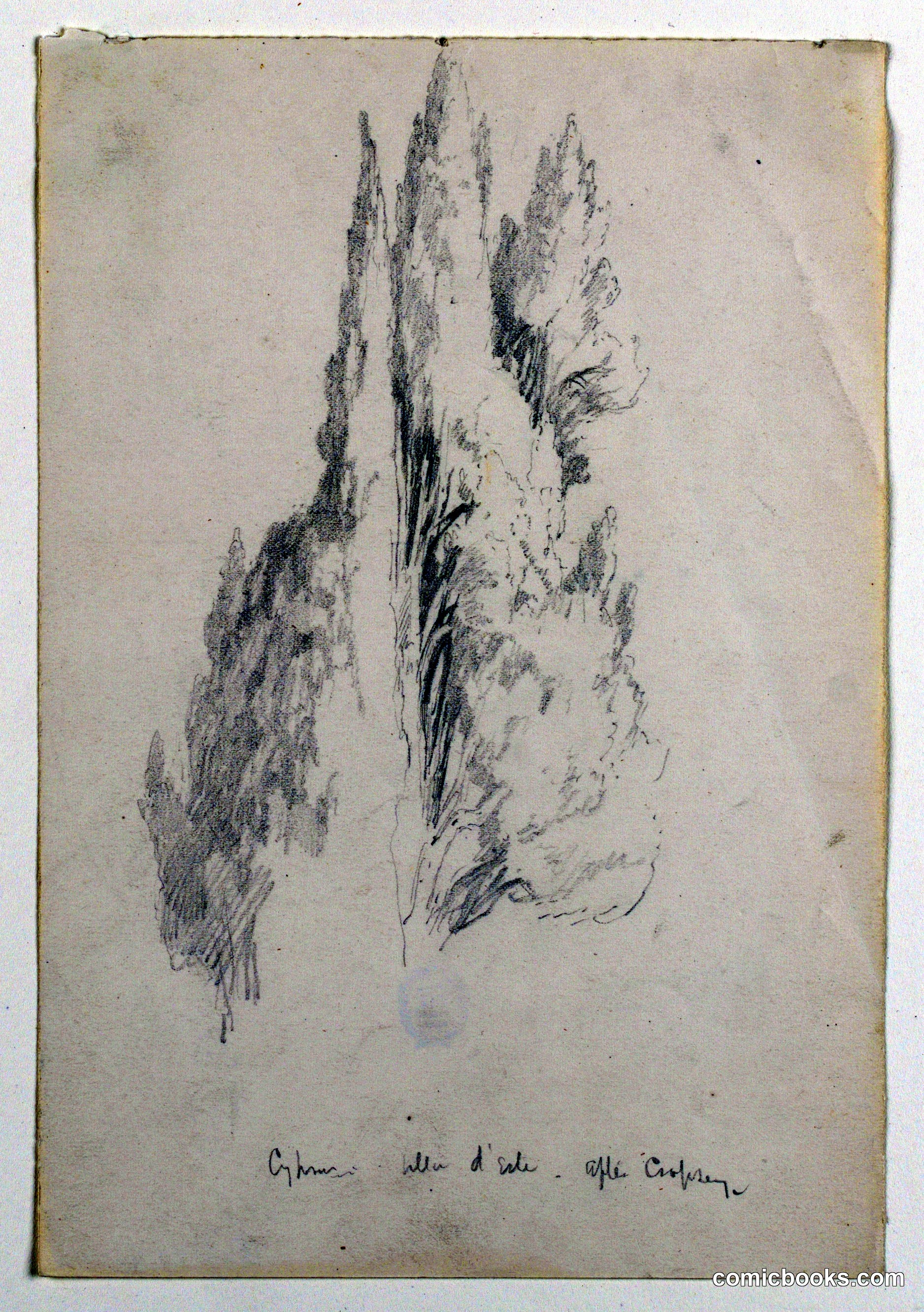 Cypress, Villa d'Este, After Cropsey