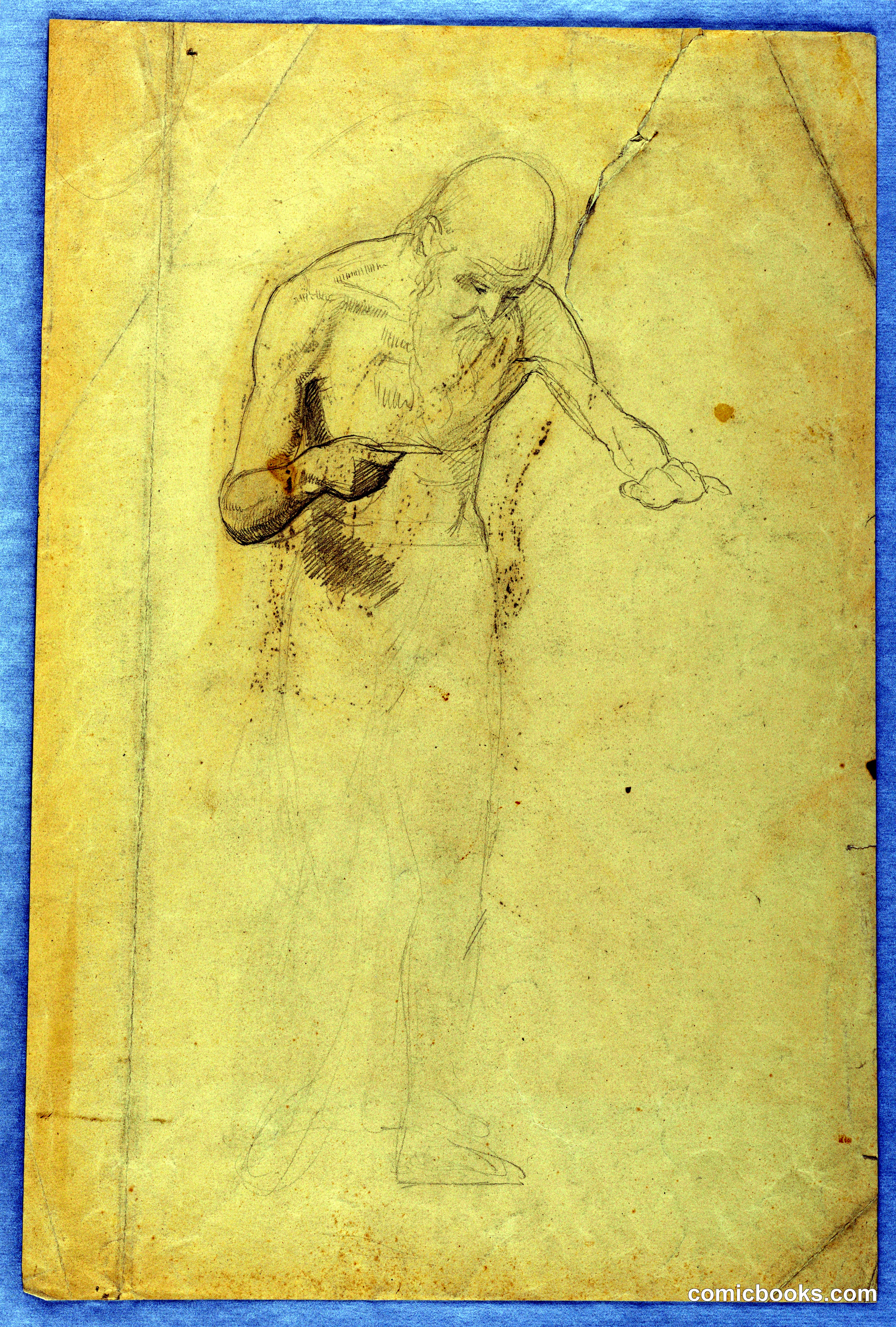 Anatomical Study
