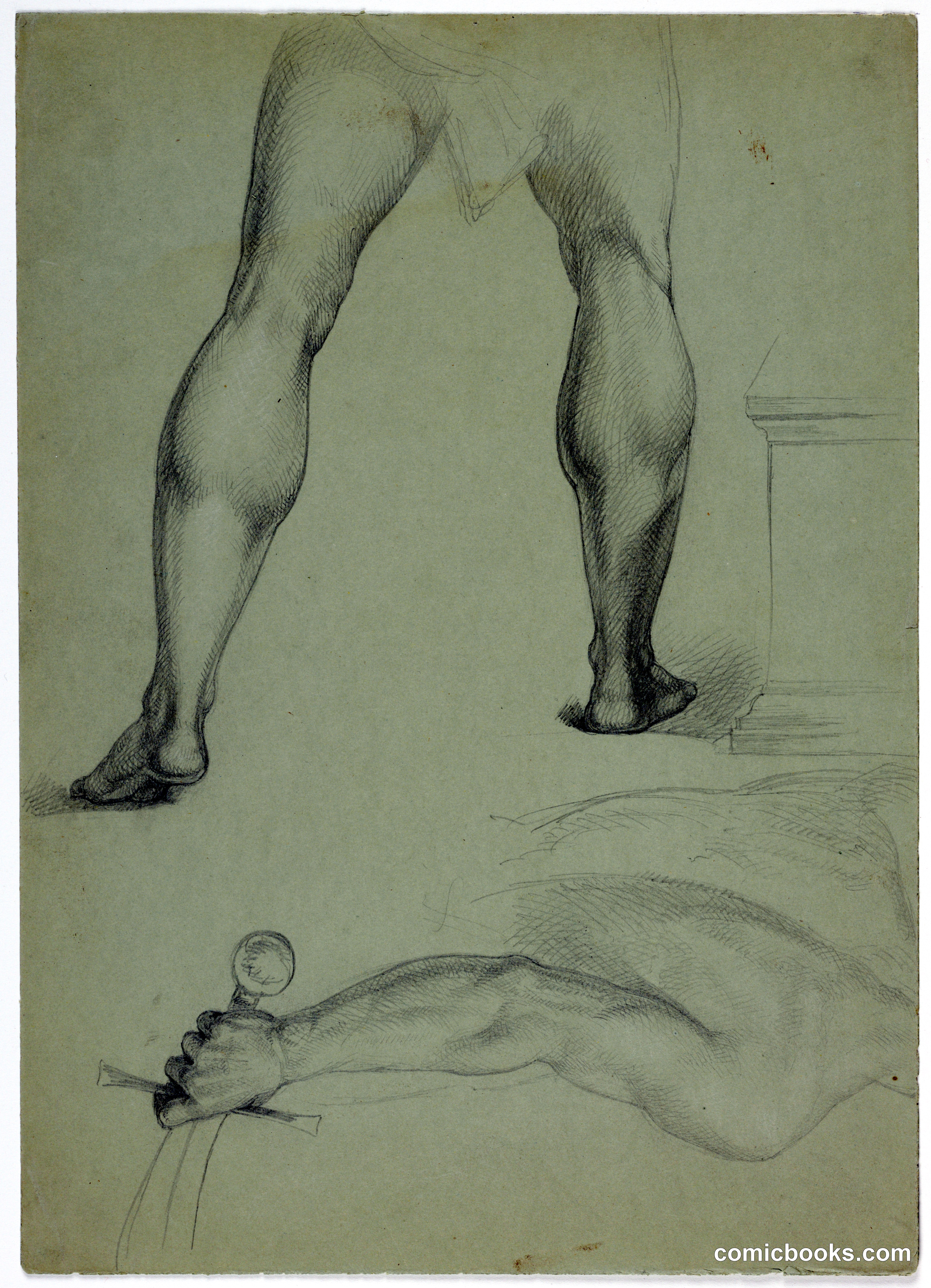 Anatomical Studies