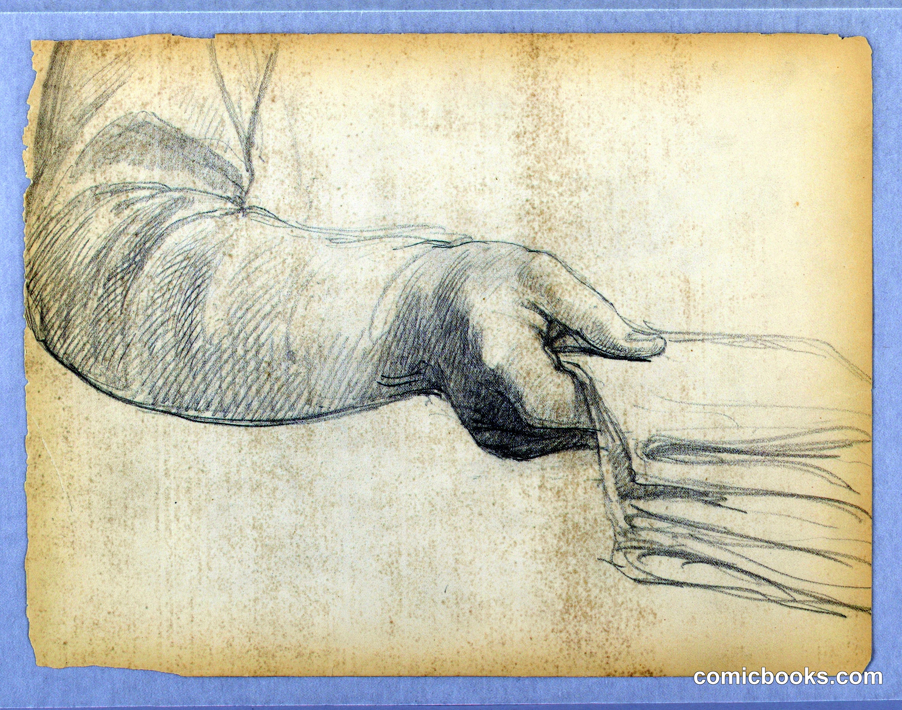 Study of Right Arm