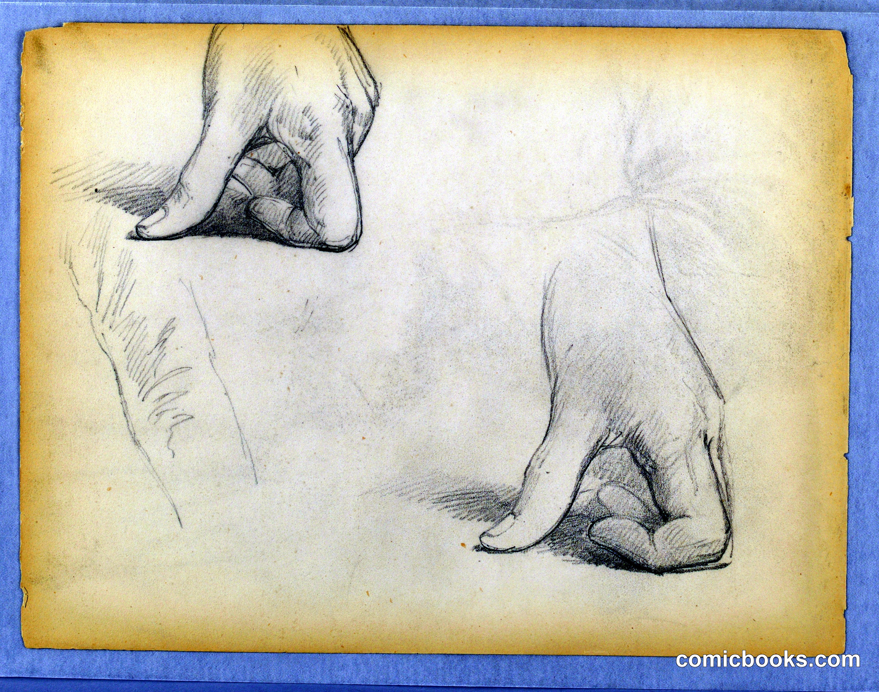 Study of a Left Hand