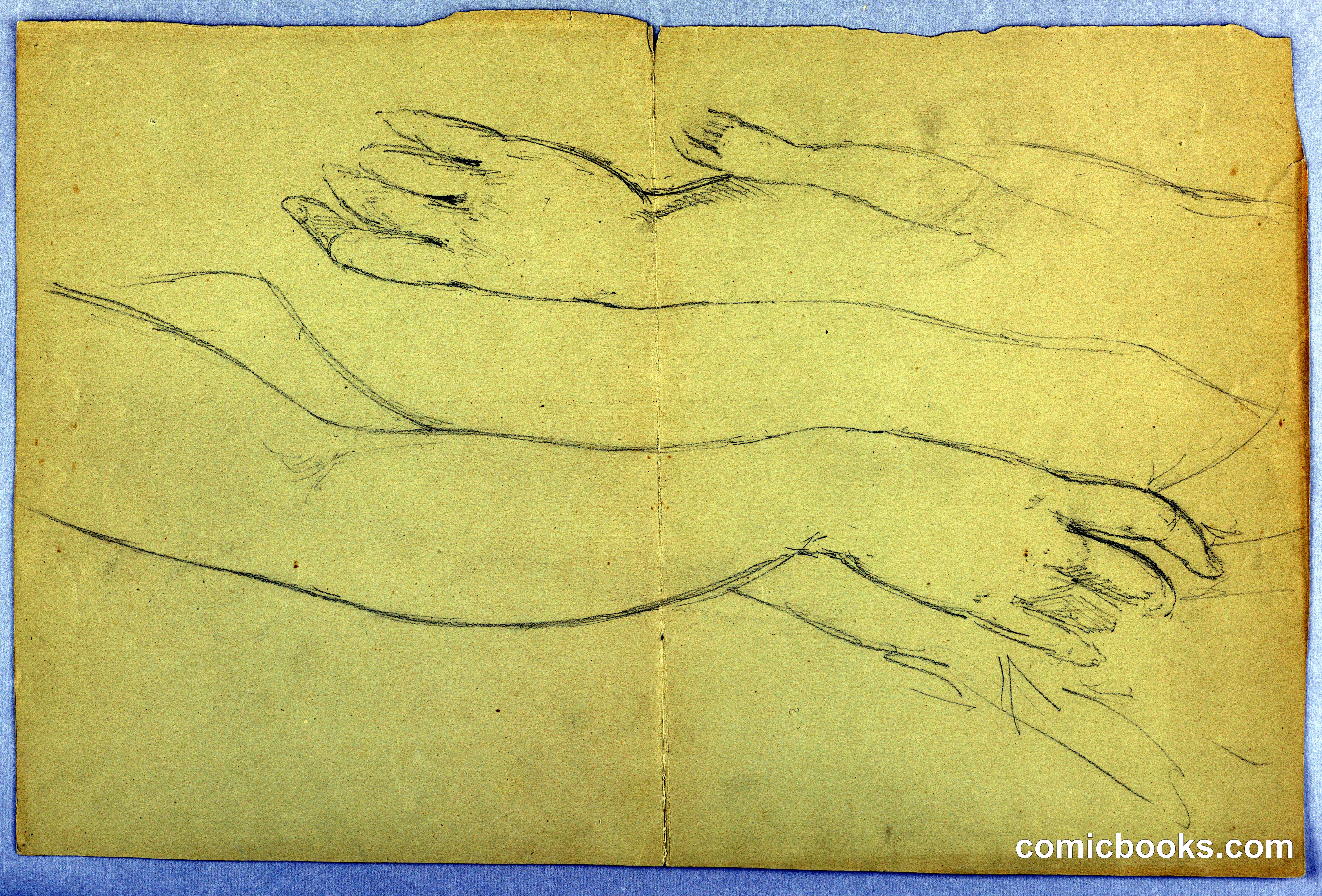 Study of Hands