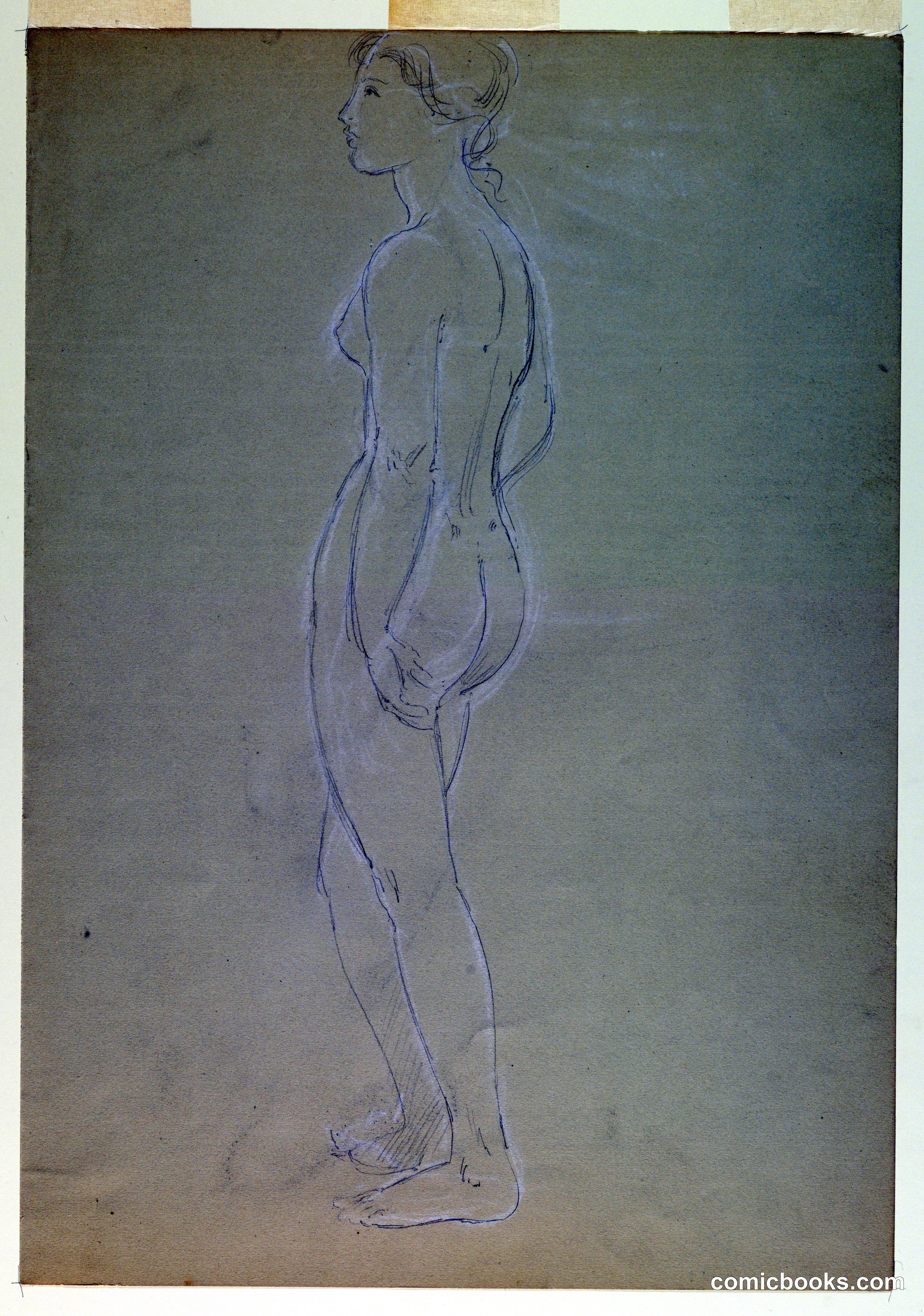 Female Nude
