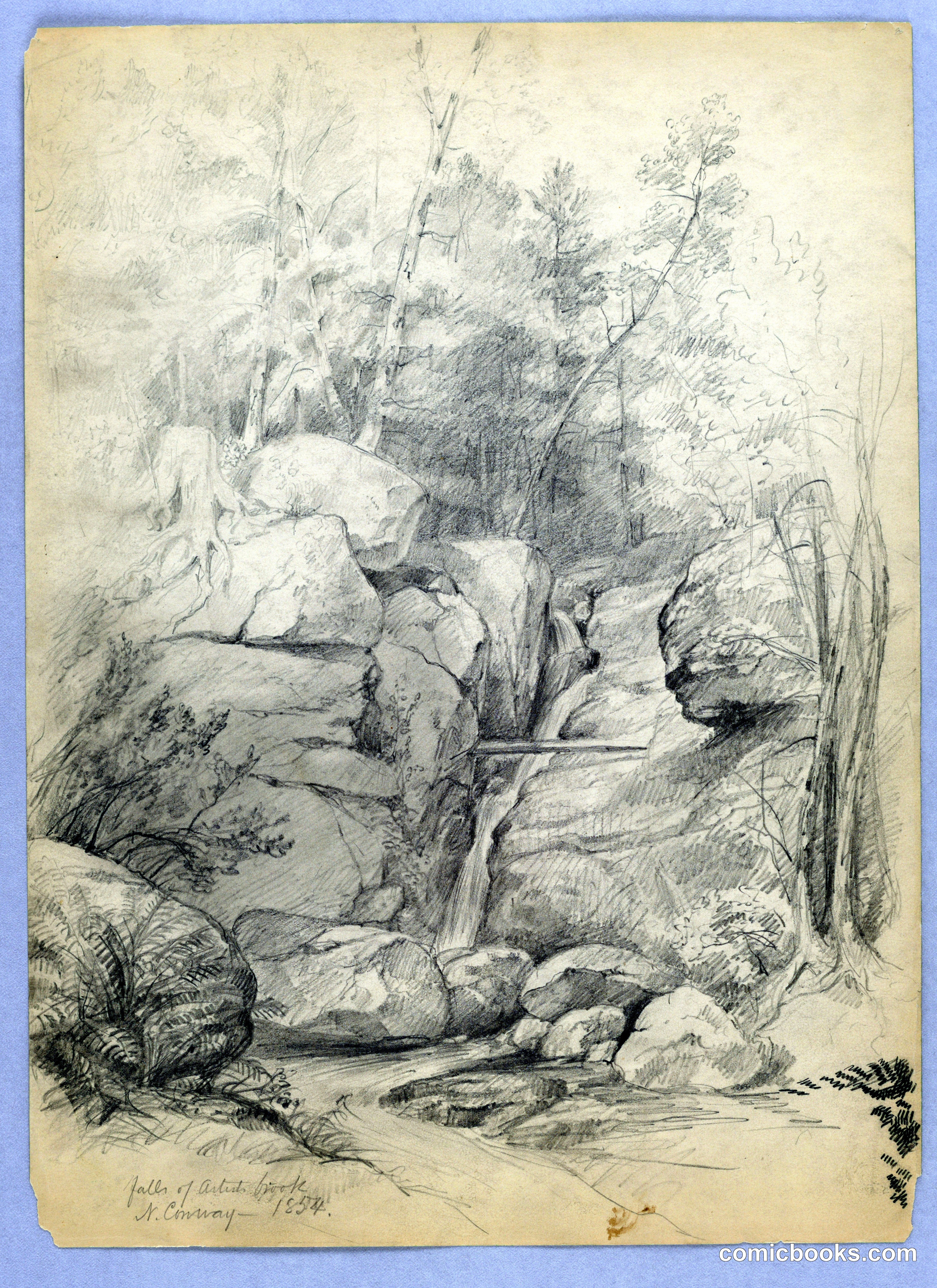 Falls of Artists' Brook, North Conway, New Hampshire