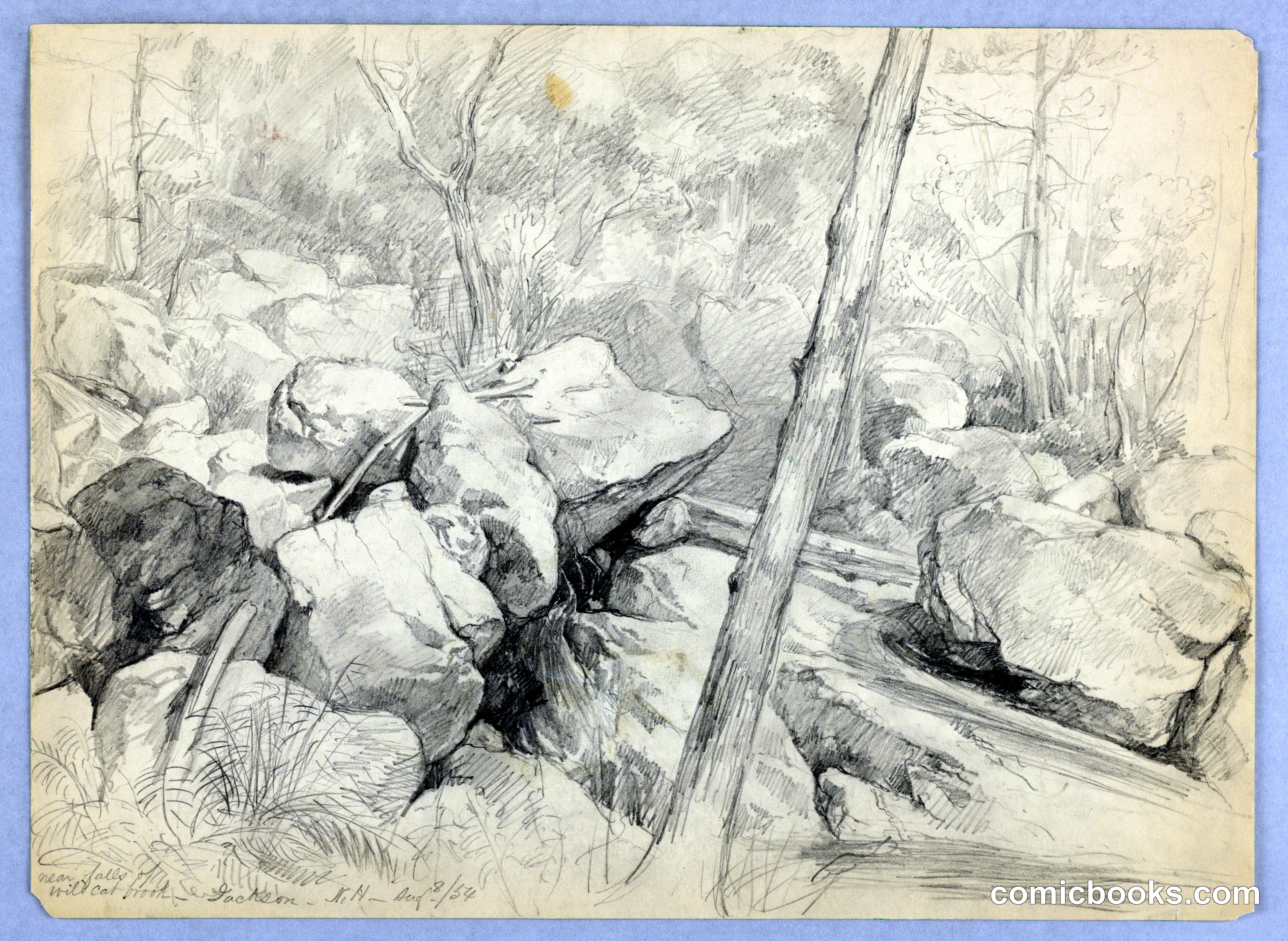 Near Falls of Wildcat Brook, Jackson, New Hampshire