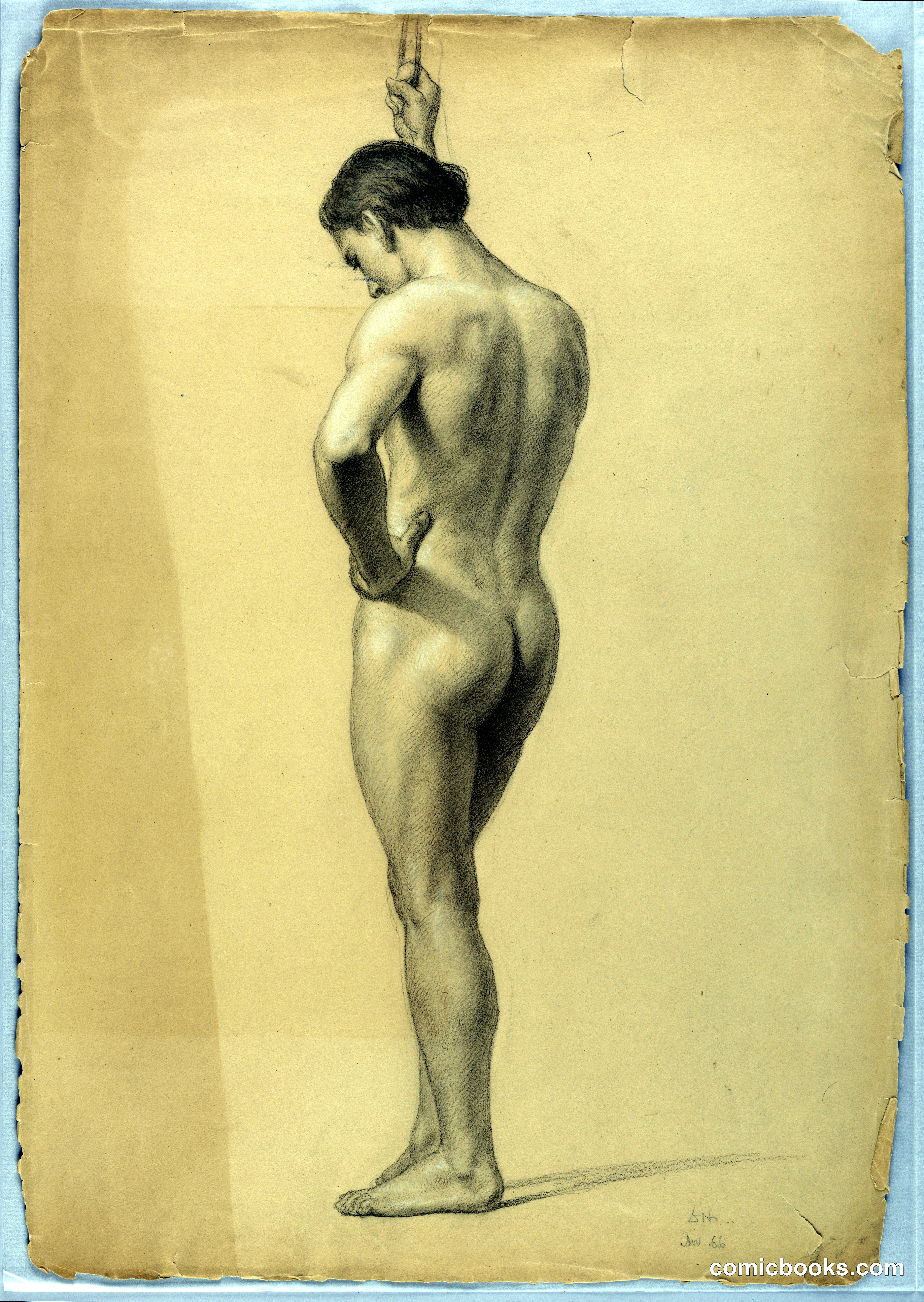 Standing Male Nude