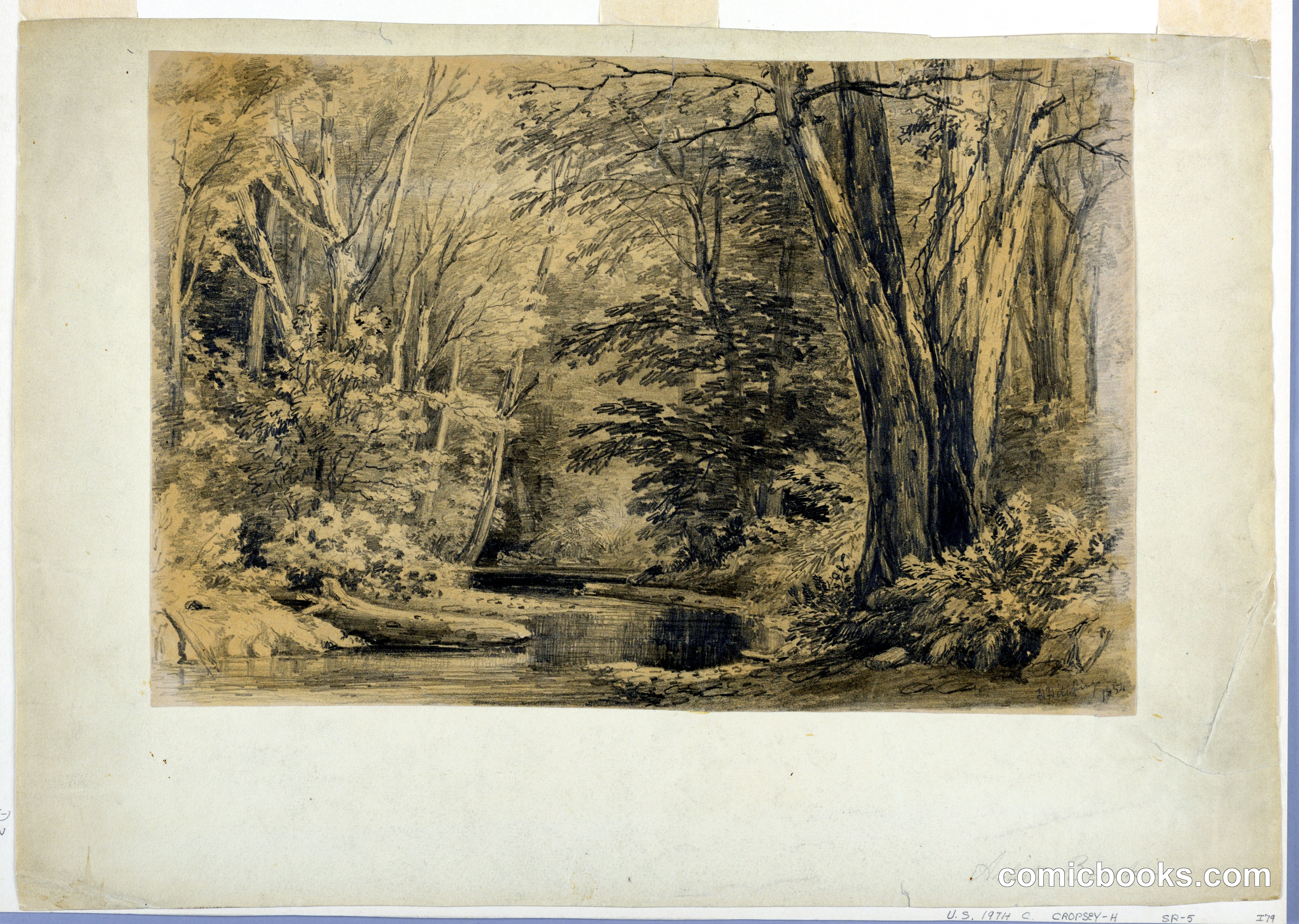 Artist's Brook