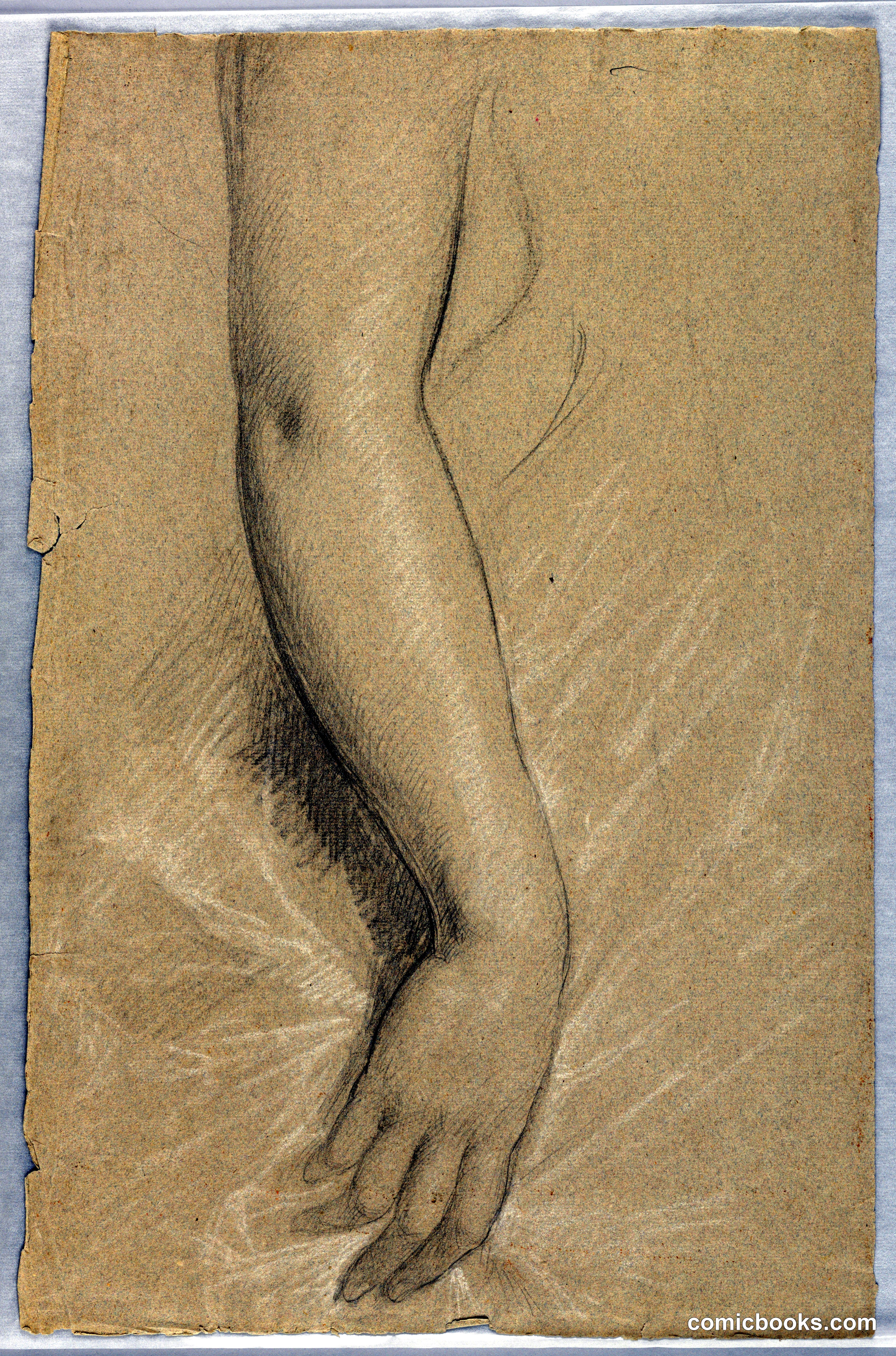 Study of an Arm for Portrait of Mrs. Rutherford B. Hayes