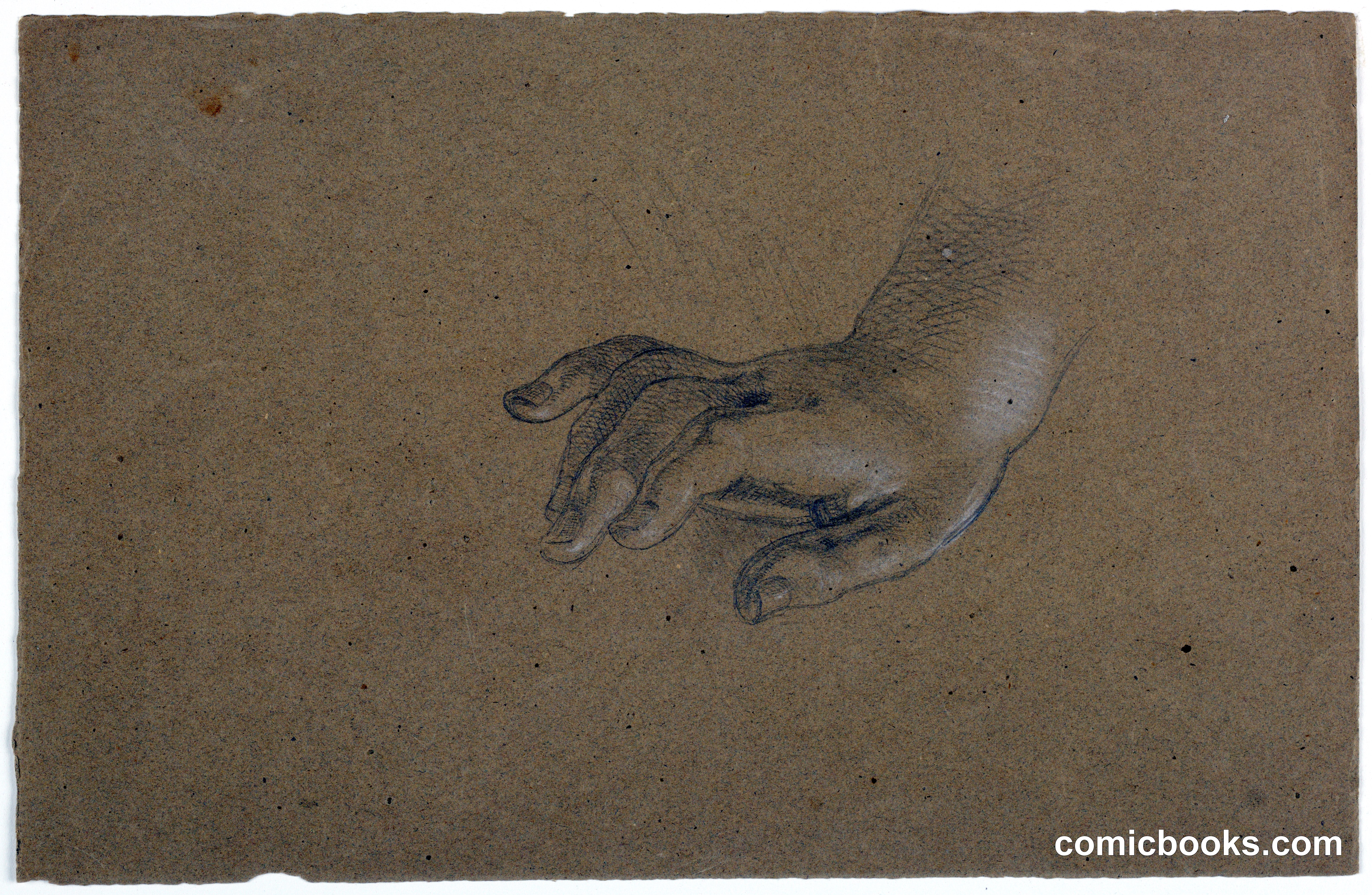 Study of a Right Hand