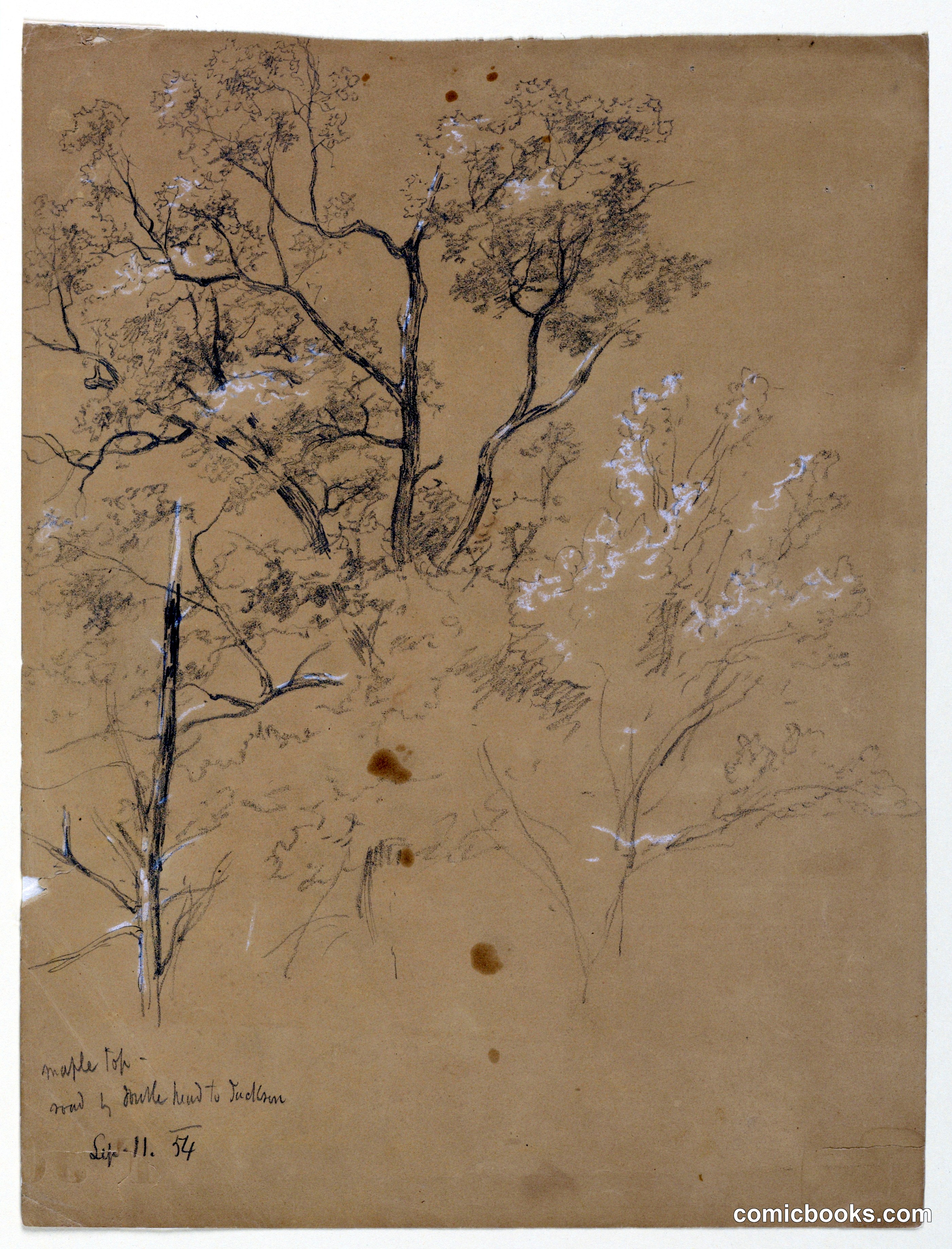 Maple Top on Road to Jackson, New Hampshire