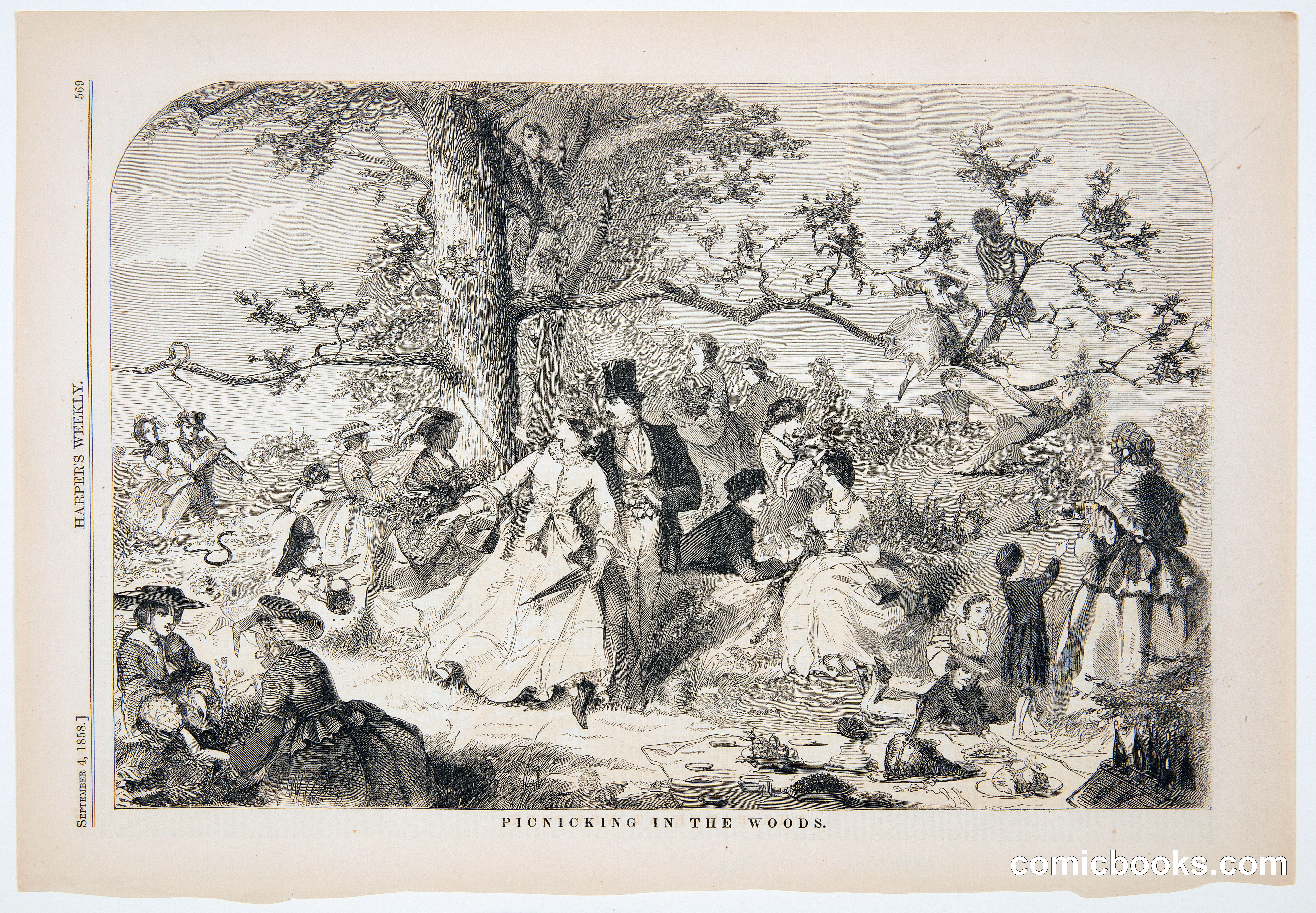 Picnicking in the Woods